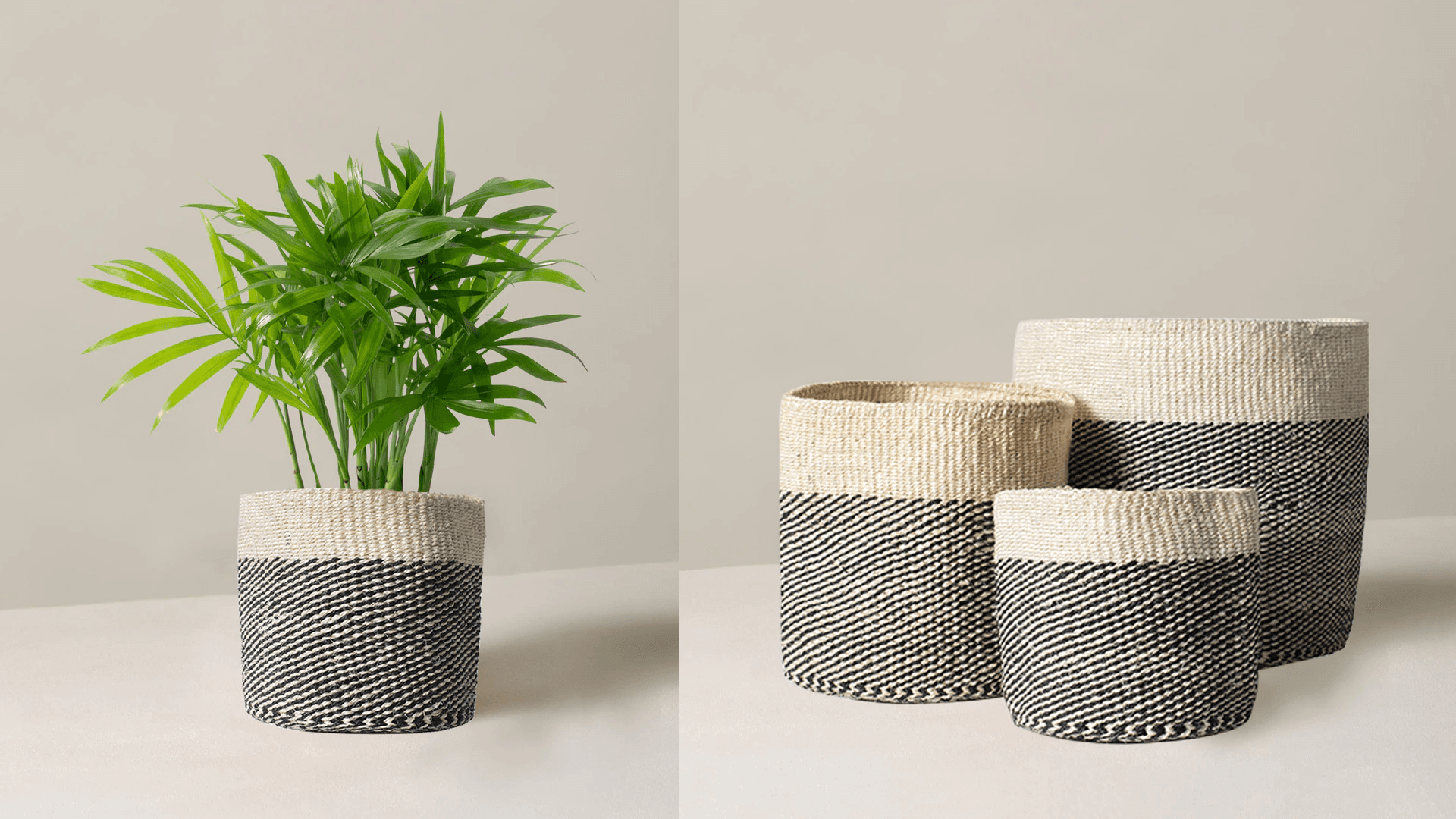Plant basket