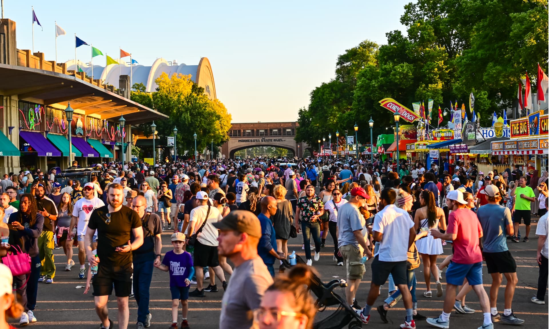 Minnesota State Fair