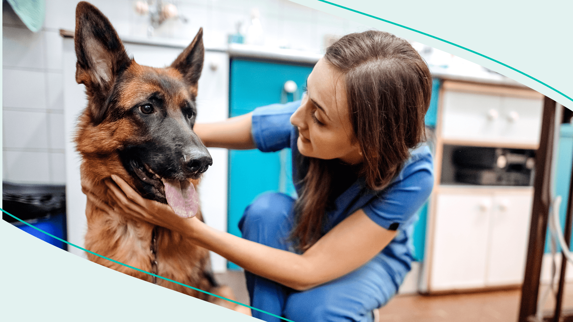 A vet crouching down next to a German Shepherd