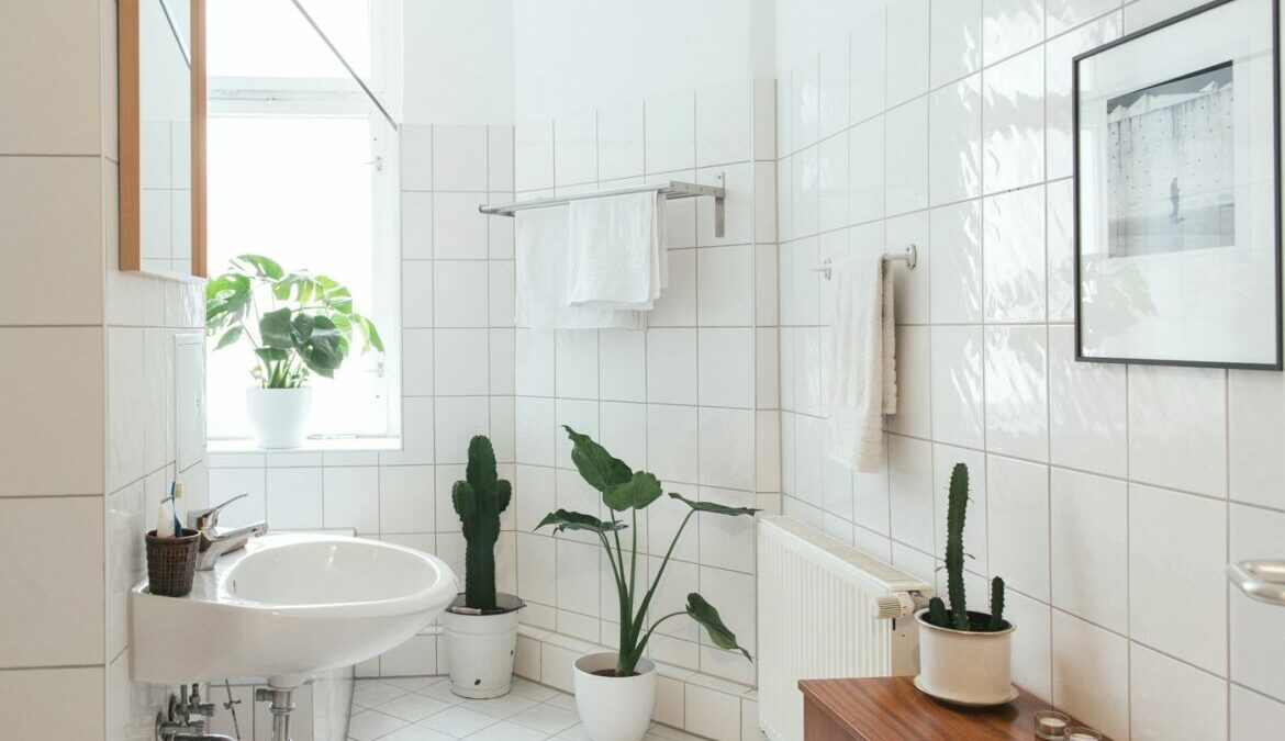 Featured image for Homemade Drain Cleaners That Are Safe, Natural, and Actually Work