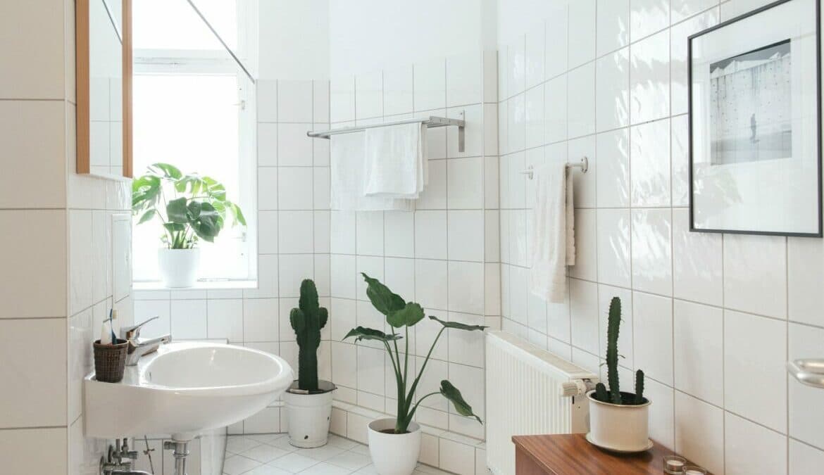 Featured image for Homemade Drain Cleaners That Are Safe, Natural, and Actually Work