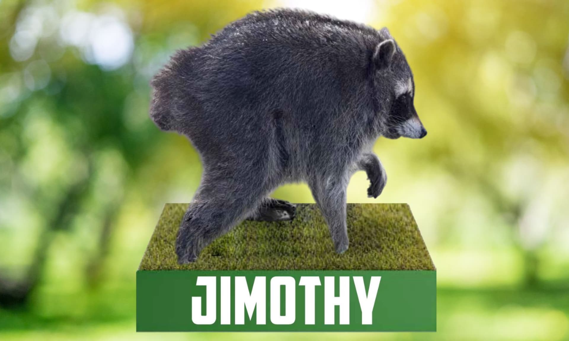 Jimothy
