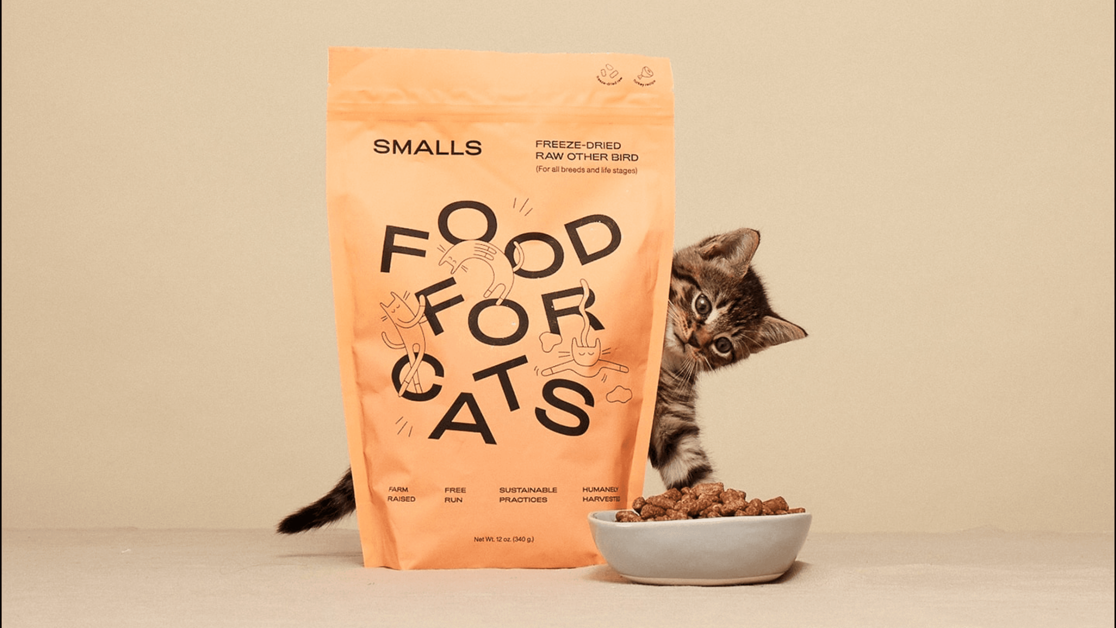 Brown cat hiding behind orange cat food bag