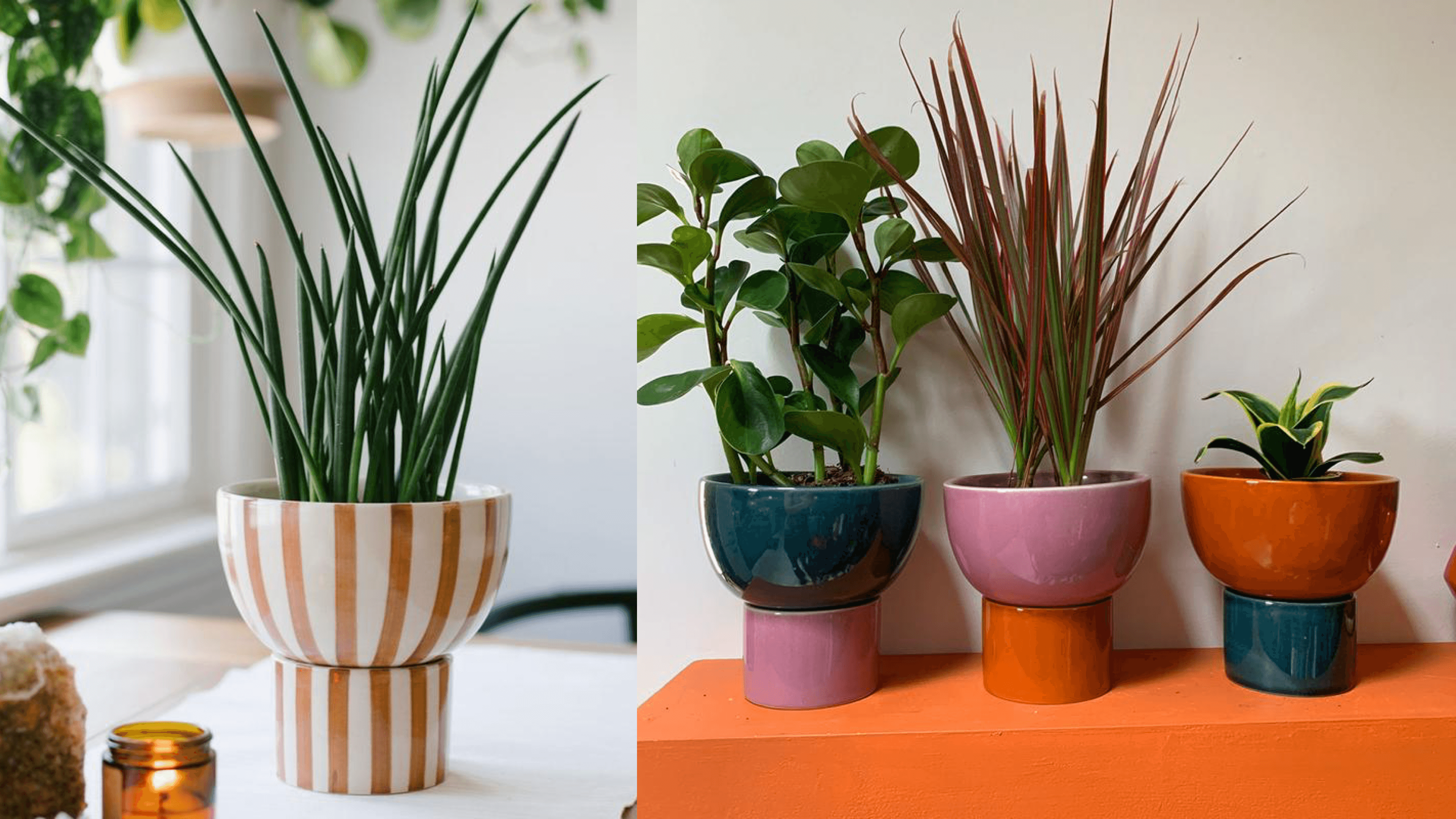 painted planter with drainage dish
