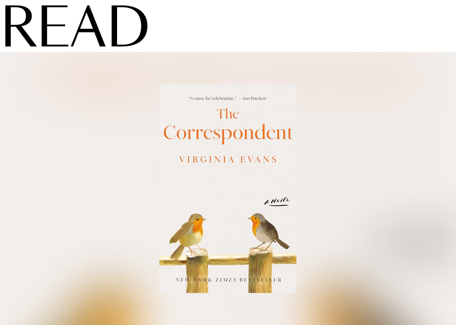 The Correspondent by Virginia Evans