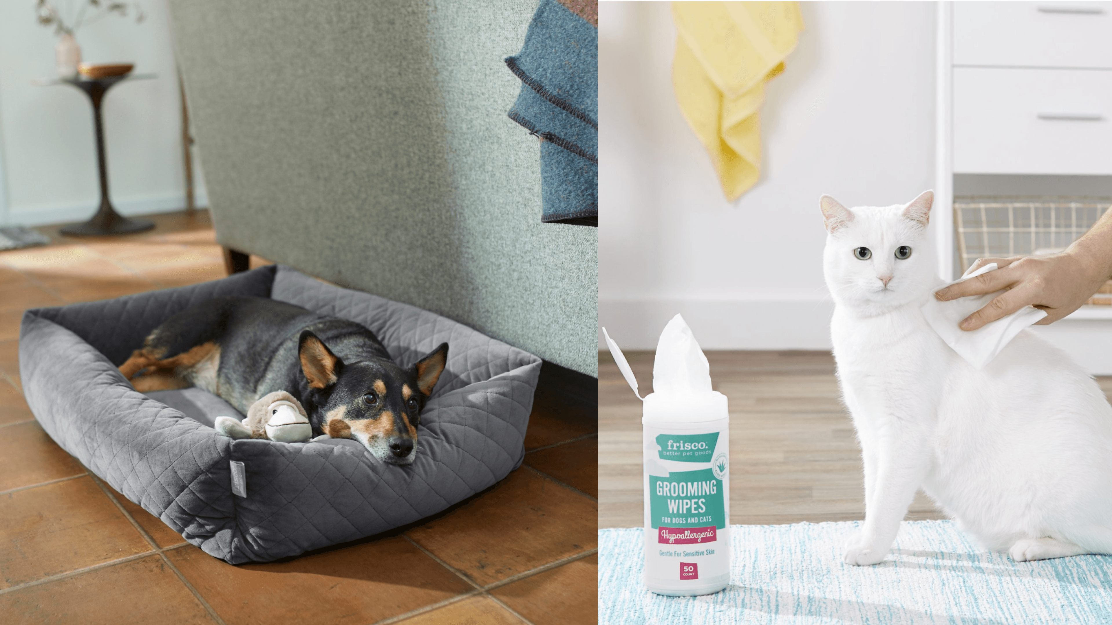 labor day weekend sales from chewy