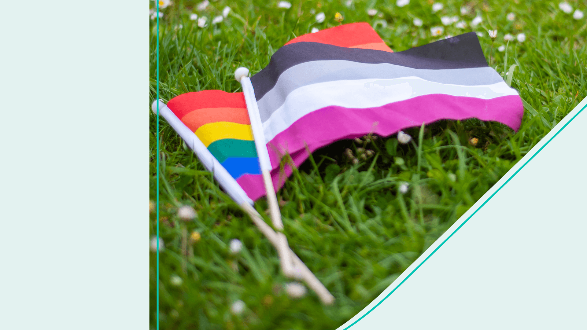 The LGBTQ+ flag and the Asexuality flag on grass