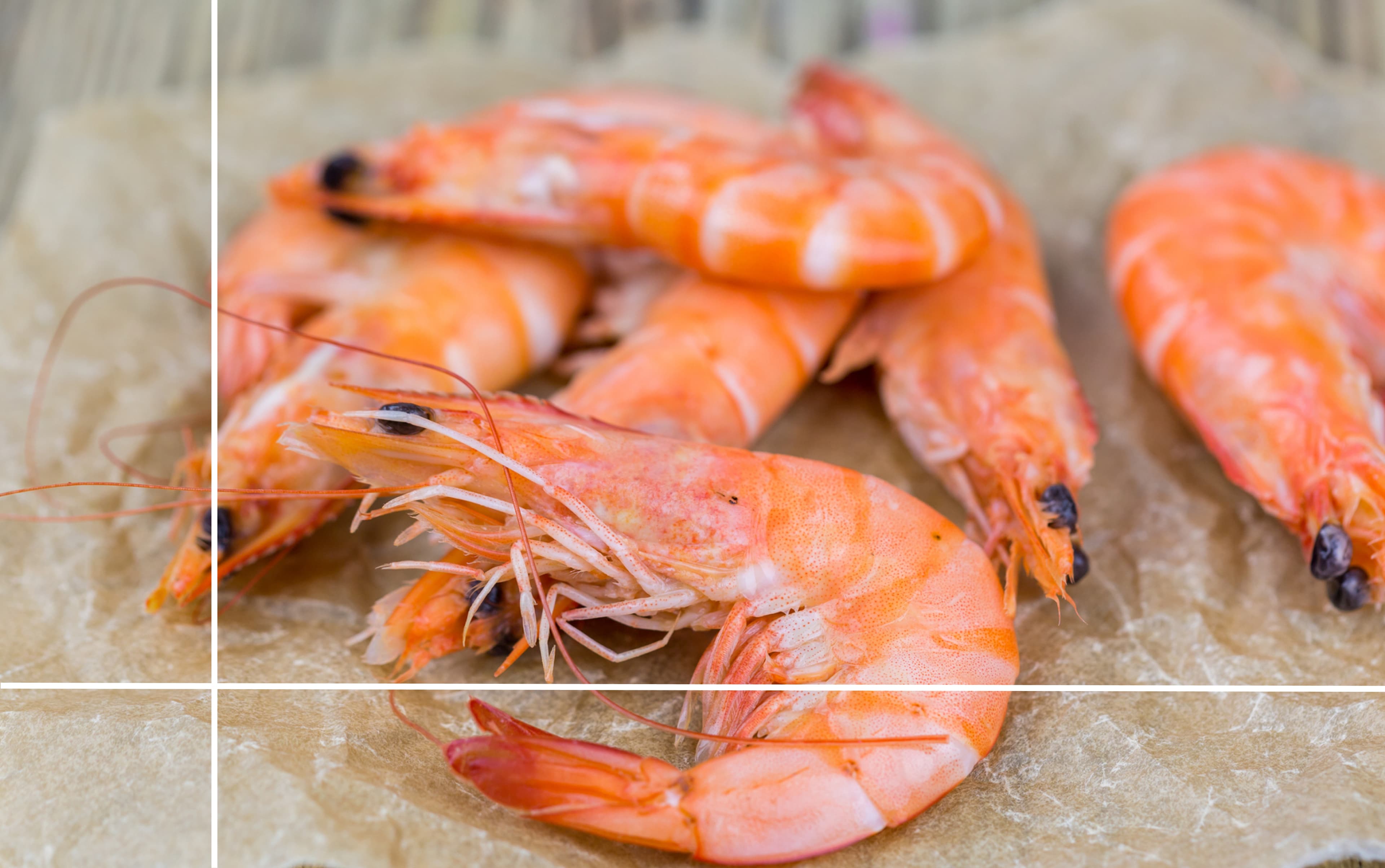 shrimp