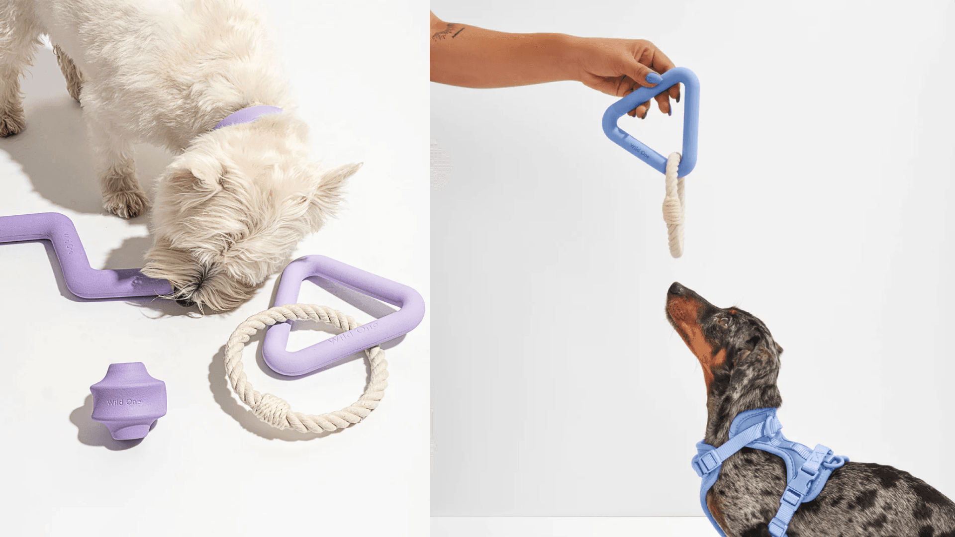 dog-toys