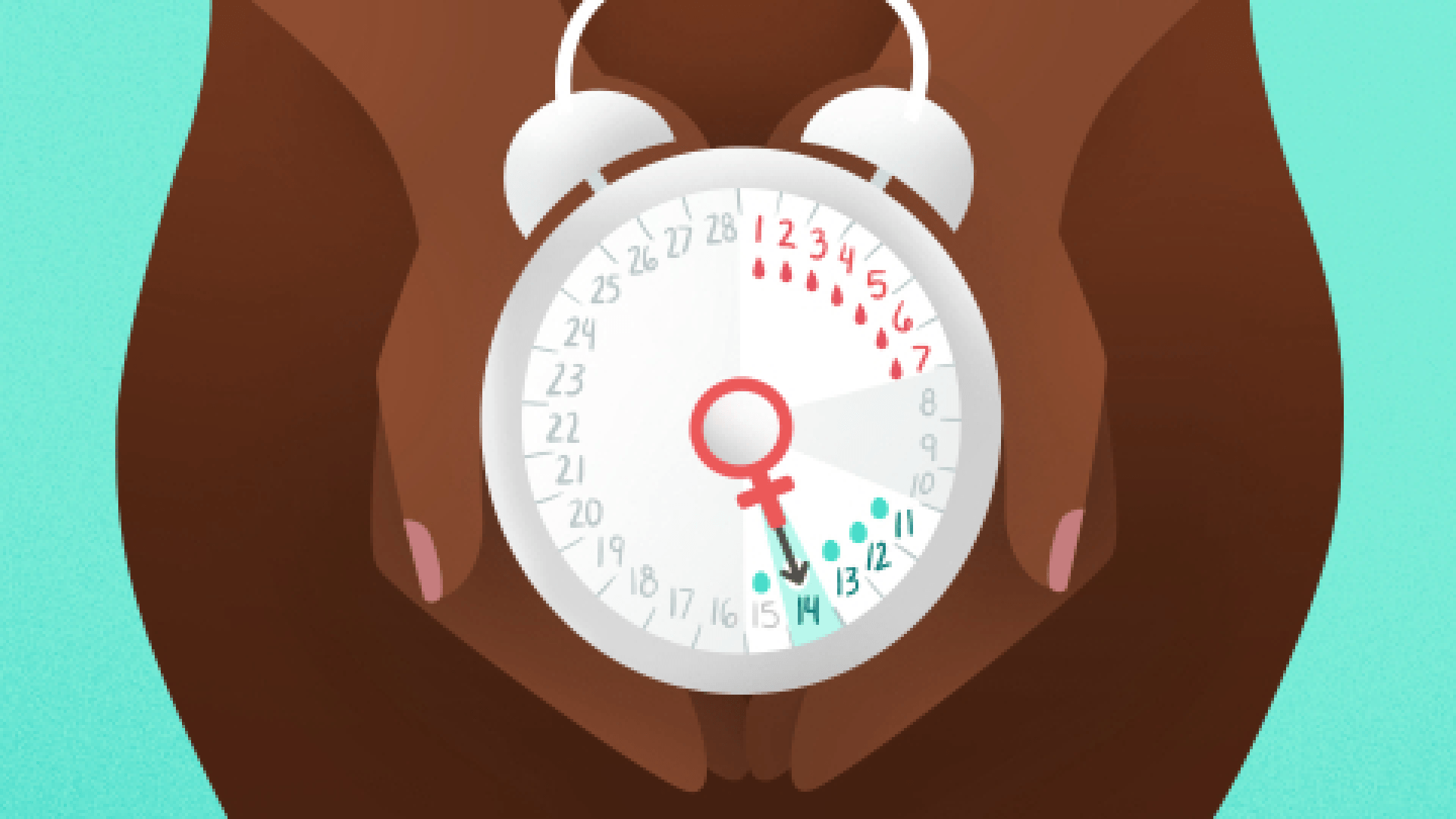 All The Ways to Track When You’re Ovulating