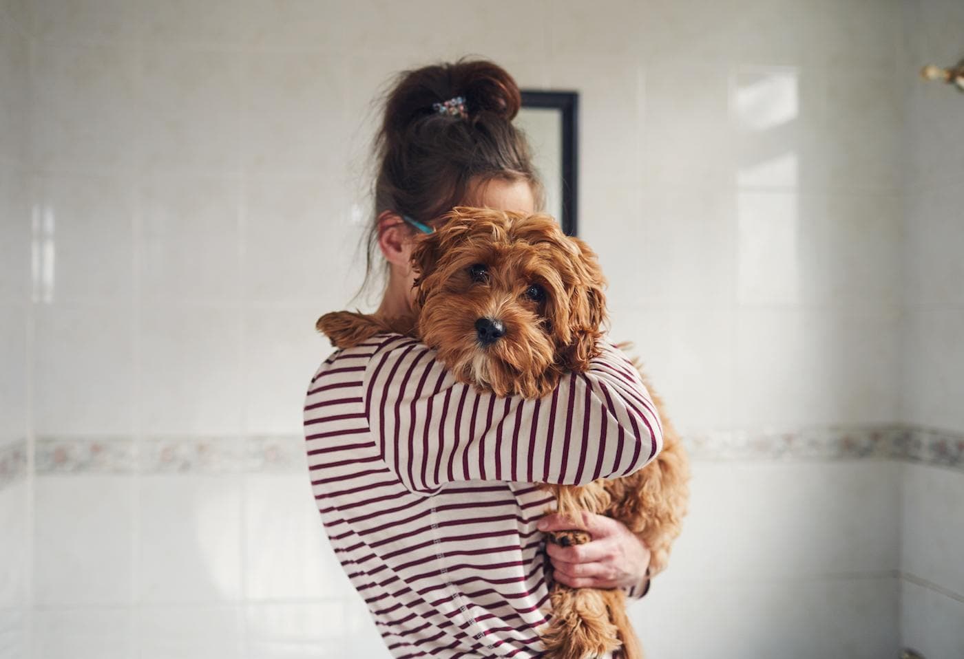 Featured image for Losing a pet in a breakup is the hardest part of splitting no one talks about—here are tips to deal