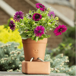 self-watering planter