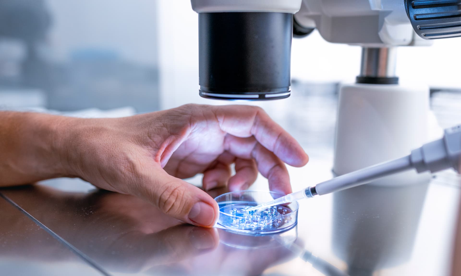 The process of IVF in a lab