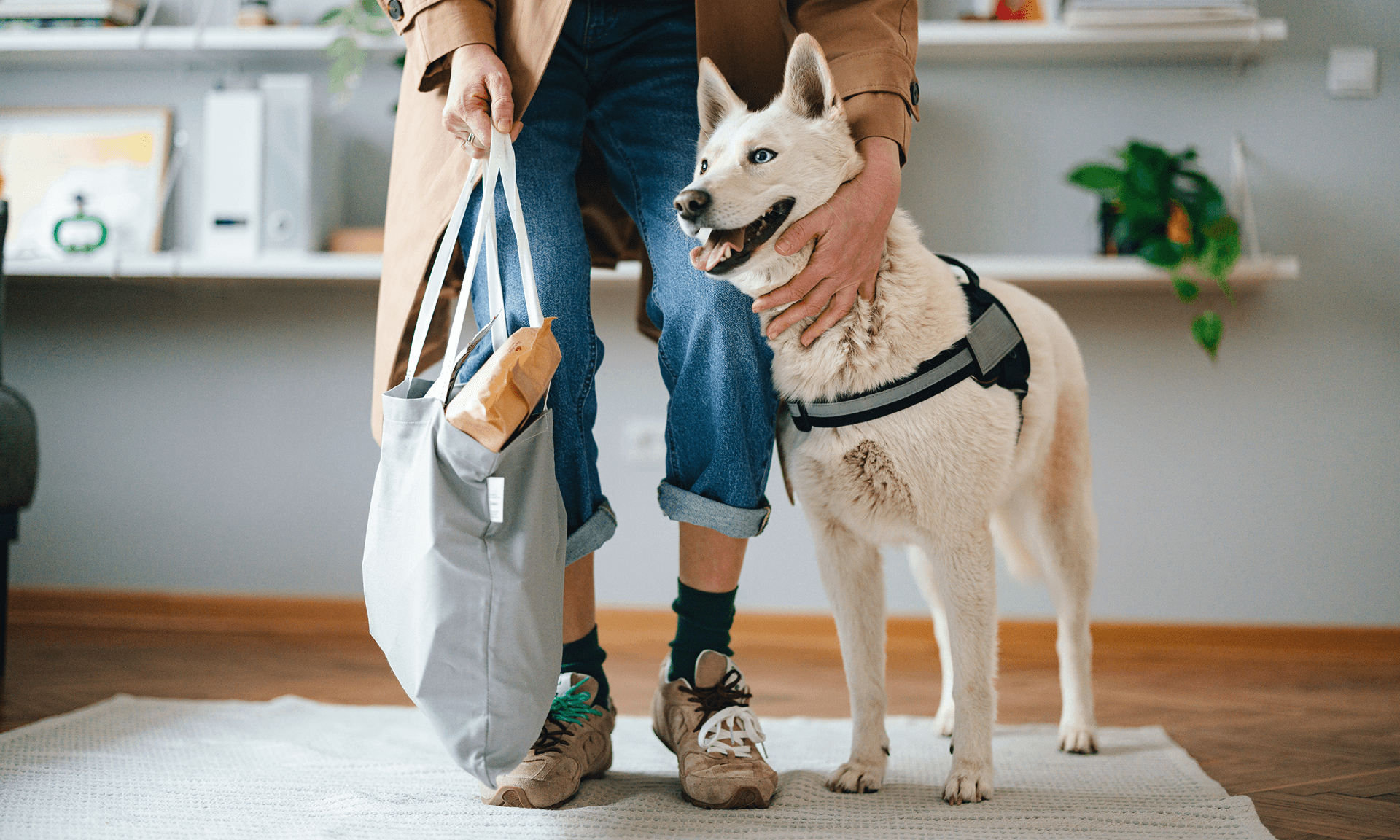 woman standing with dog on rug