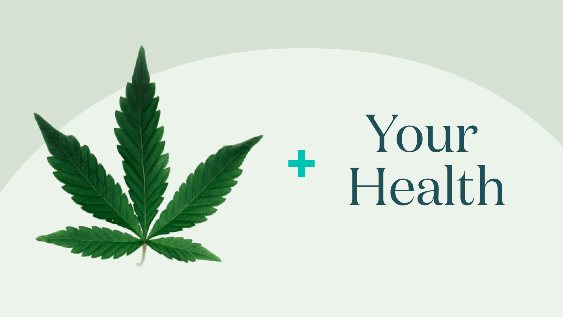 Marijuana and your brain