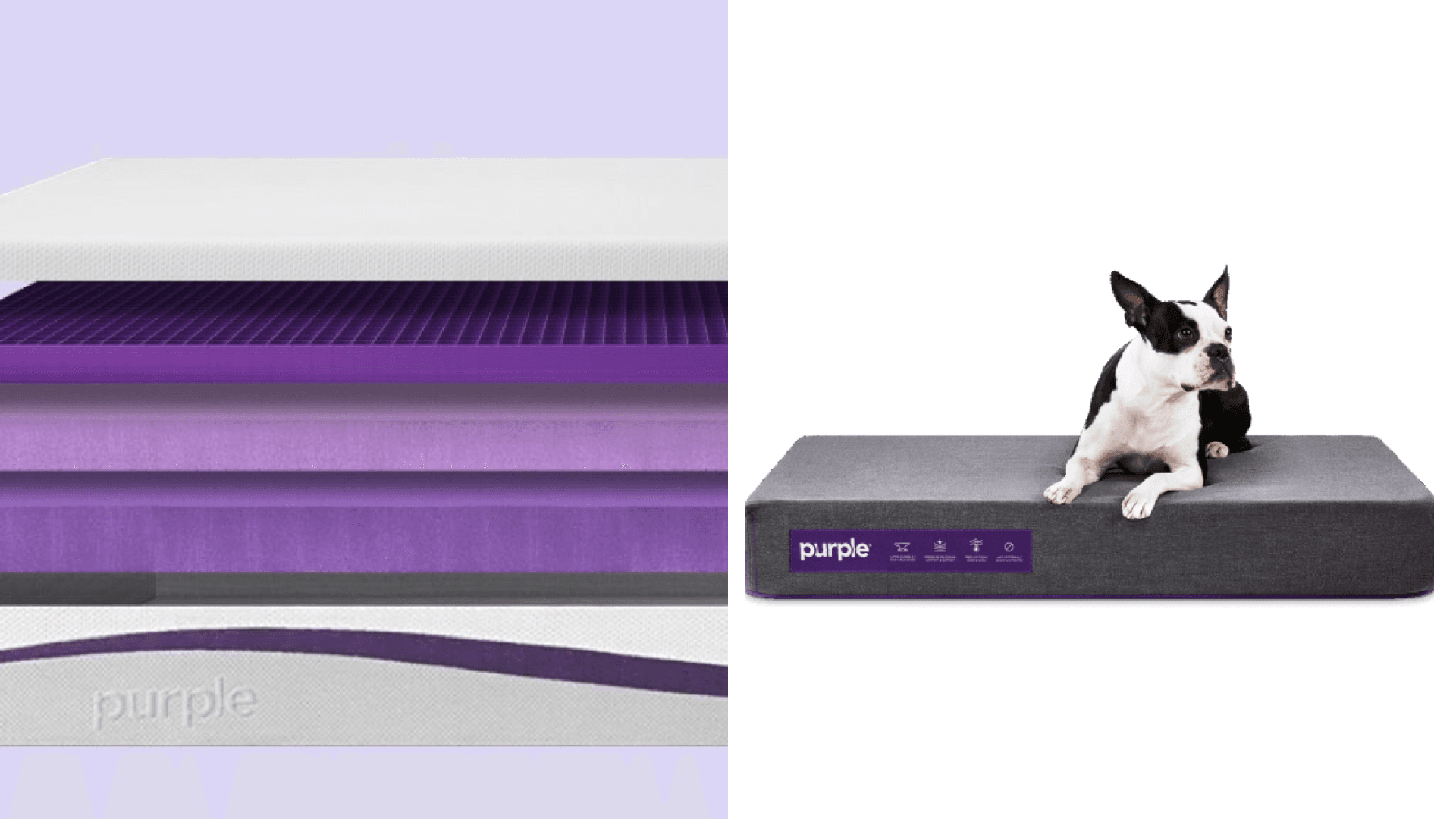 Purple Presidents' Day sale