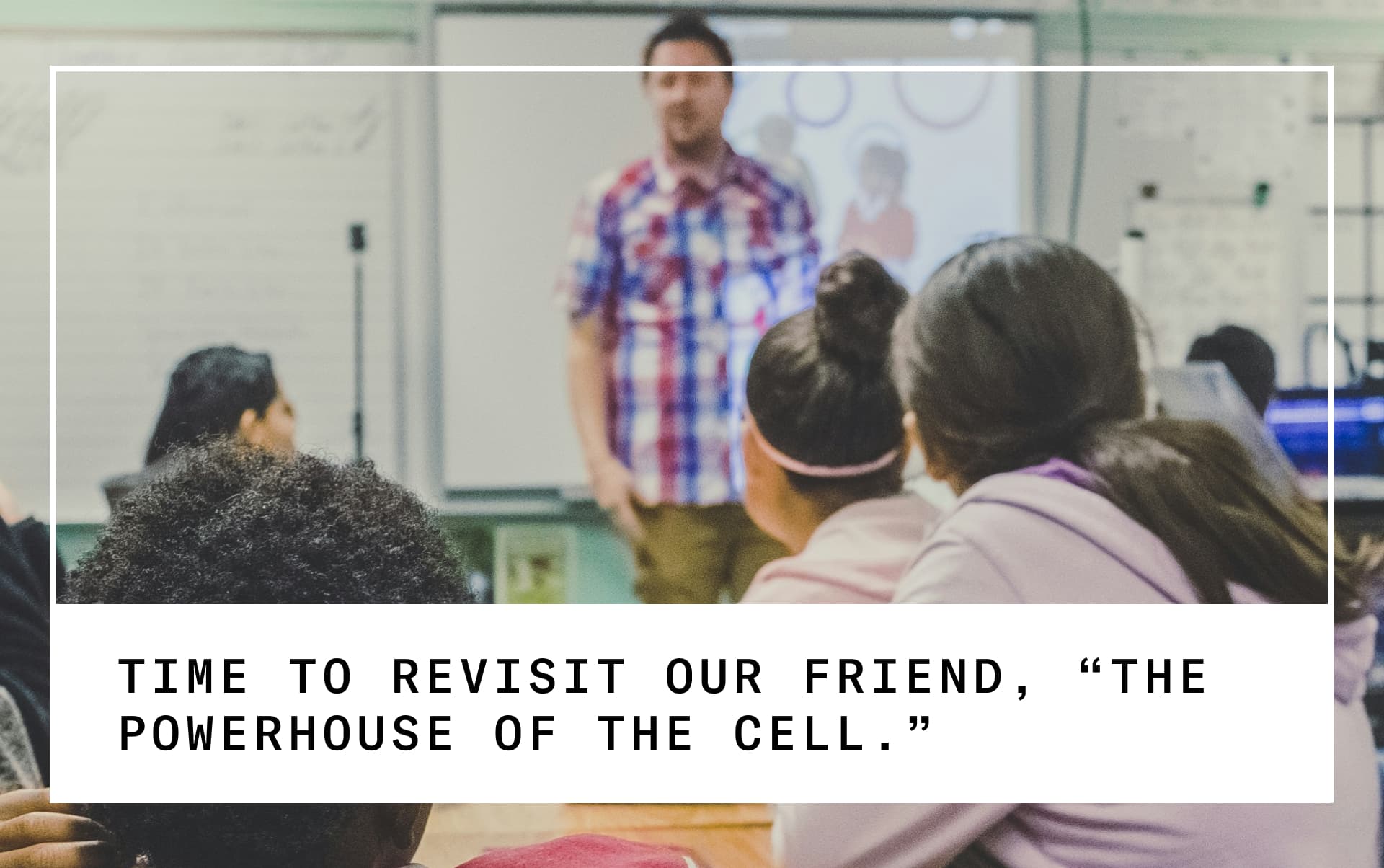 the mitochondria is the powerhouse of the cell