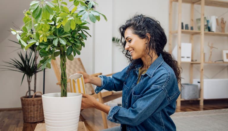 A young woman in a denim jacket kneels on the ground to water a large potted plant in a white planter inside her home. She is smiling and her curly back hair is pulled back into a loose ponytail. This photo is being used in an article about how to enjoy y