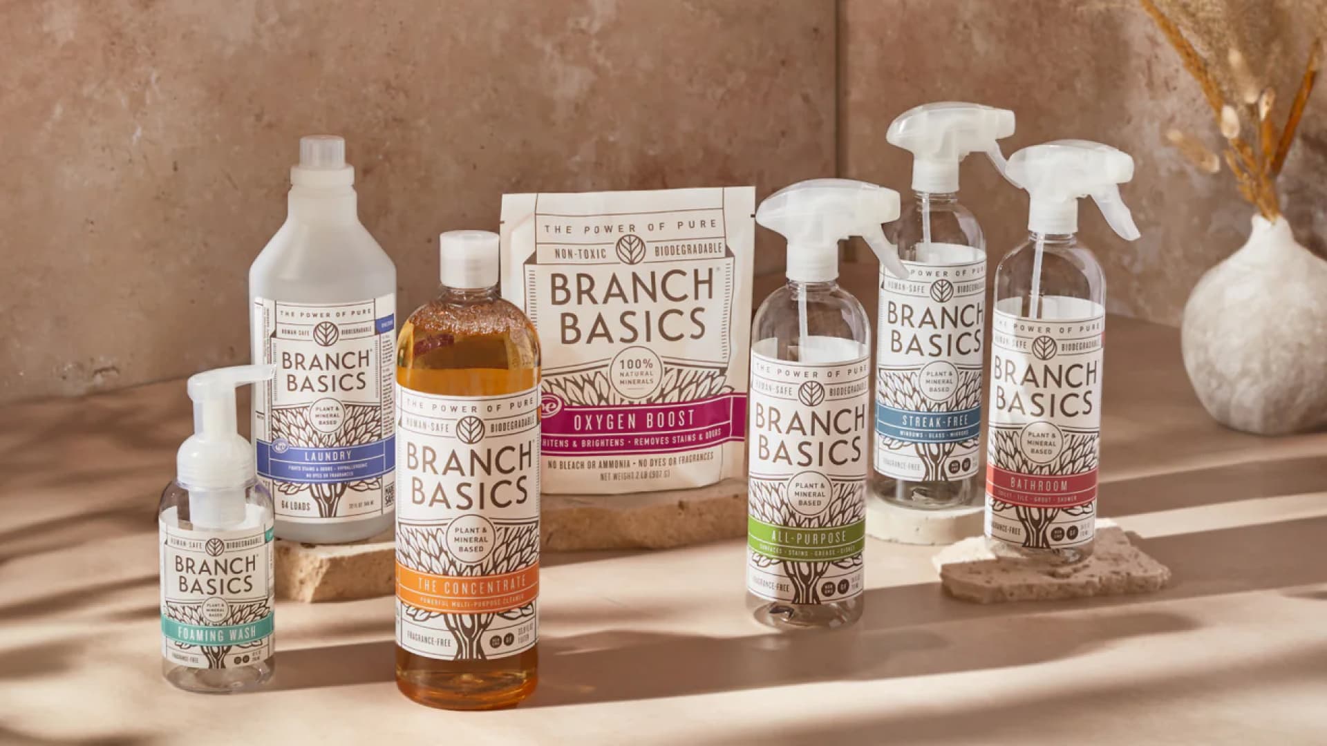 nontoxic cleaning products