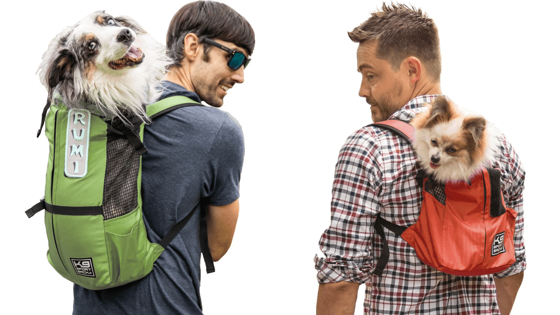 Pet backpack