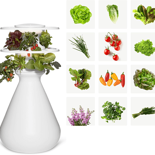 LettuceGrow