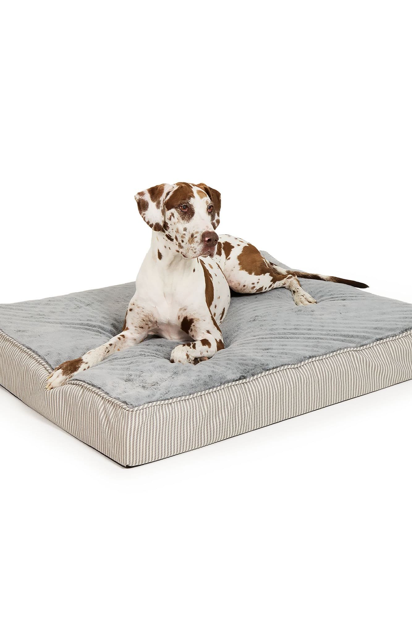 petsmart