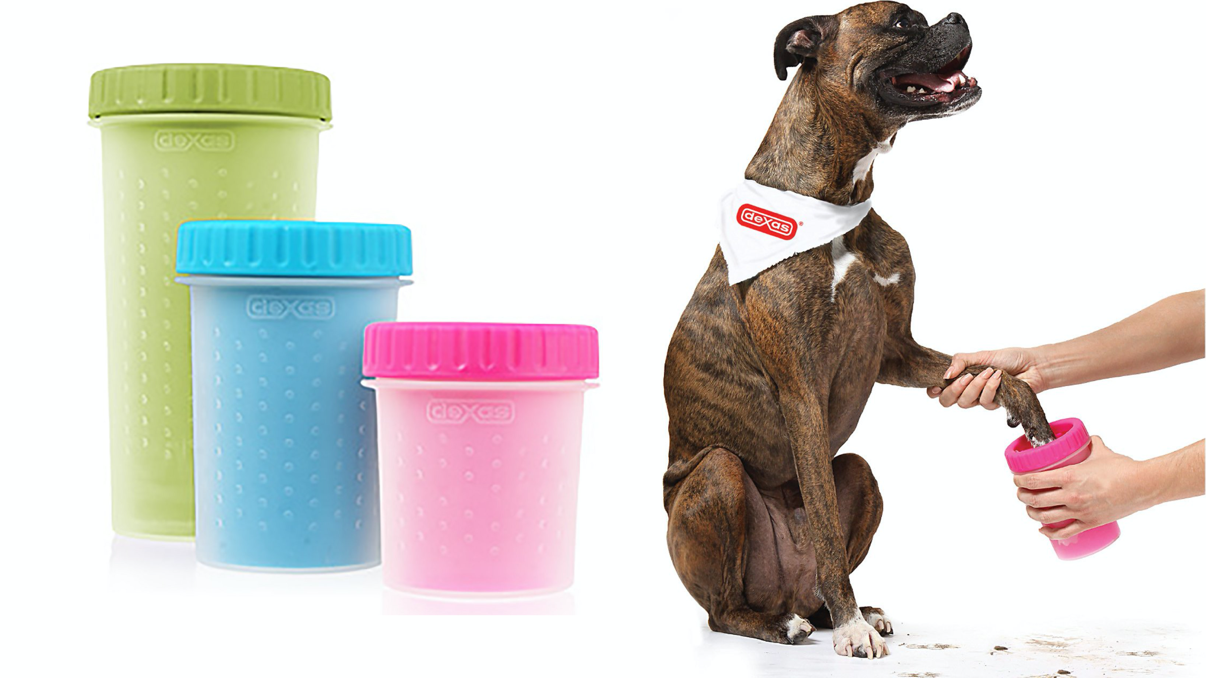 container to easily clean muddy and sandy pet paws