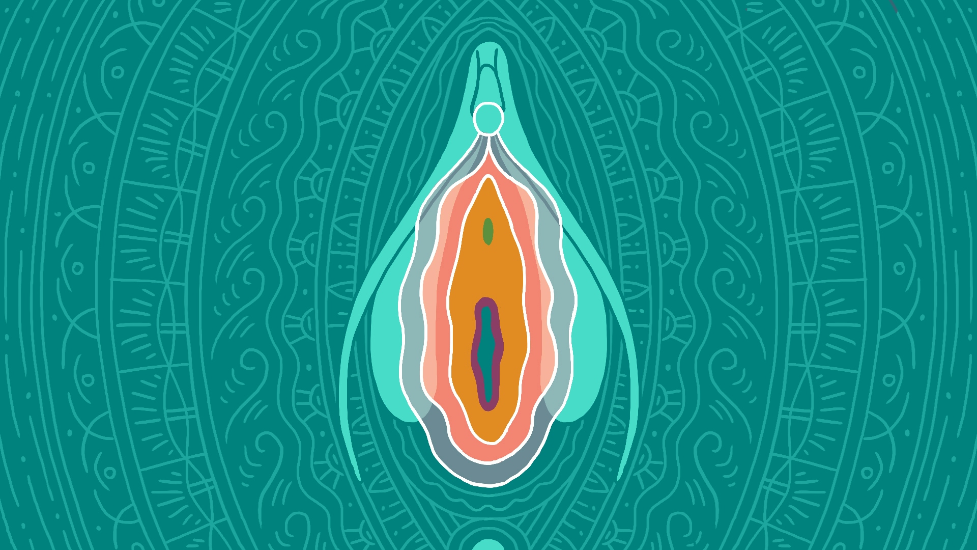 Illustration of the vulva, including the vagina, labia, and clitoris