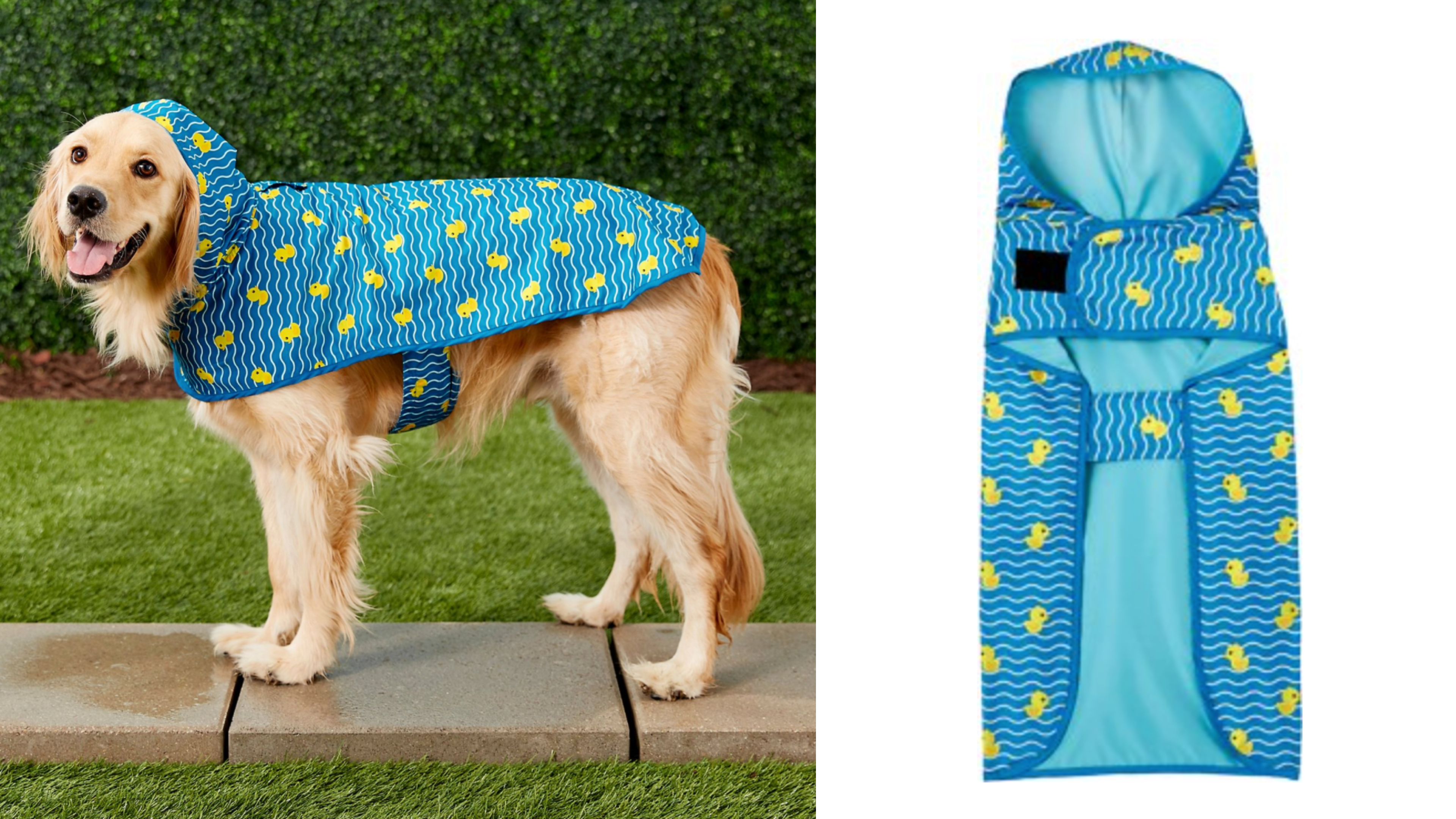 rubber ducky patterned dog rain coat