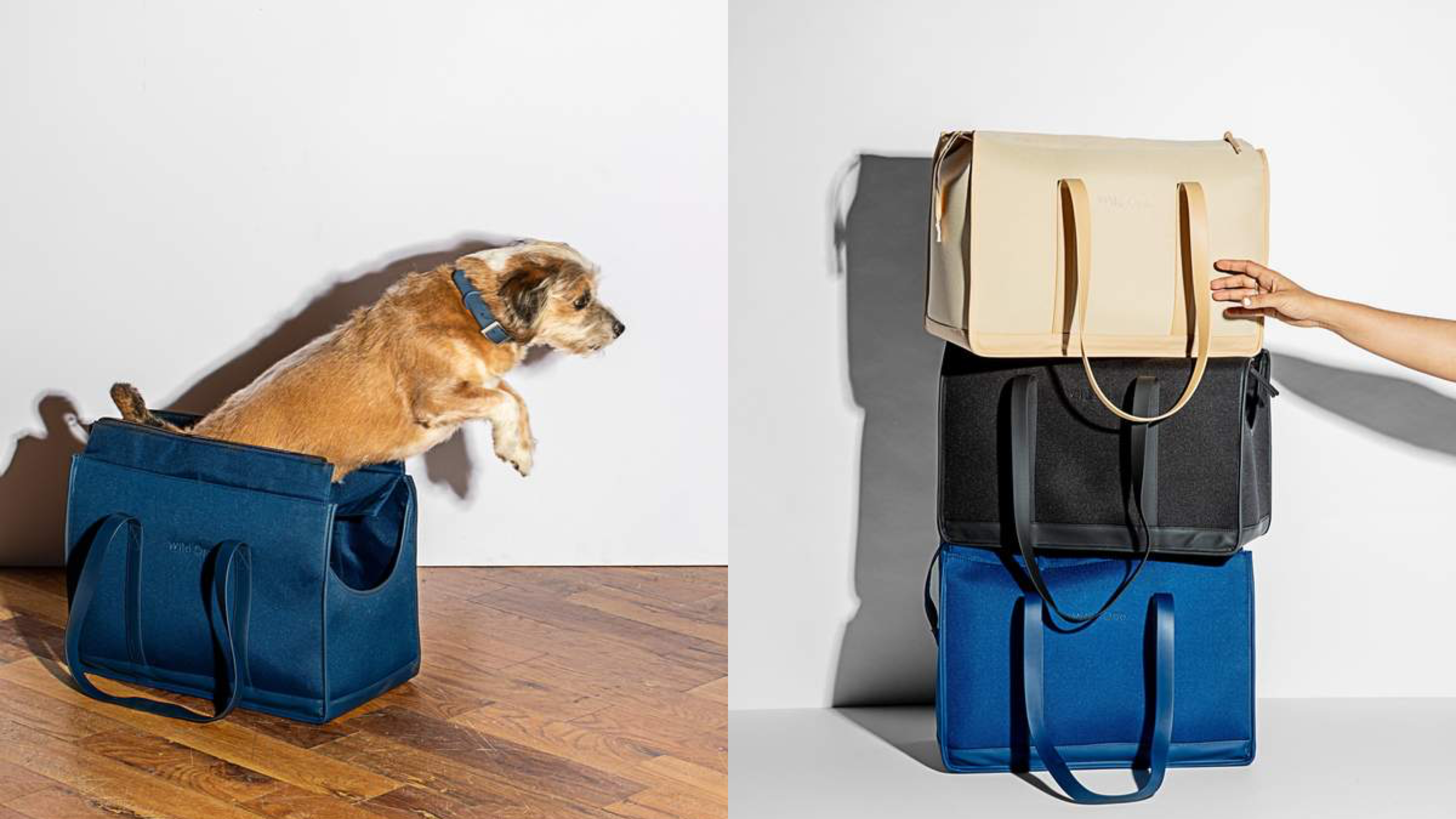 commuter carrier bag for your pet