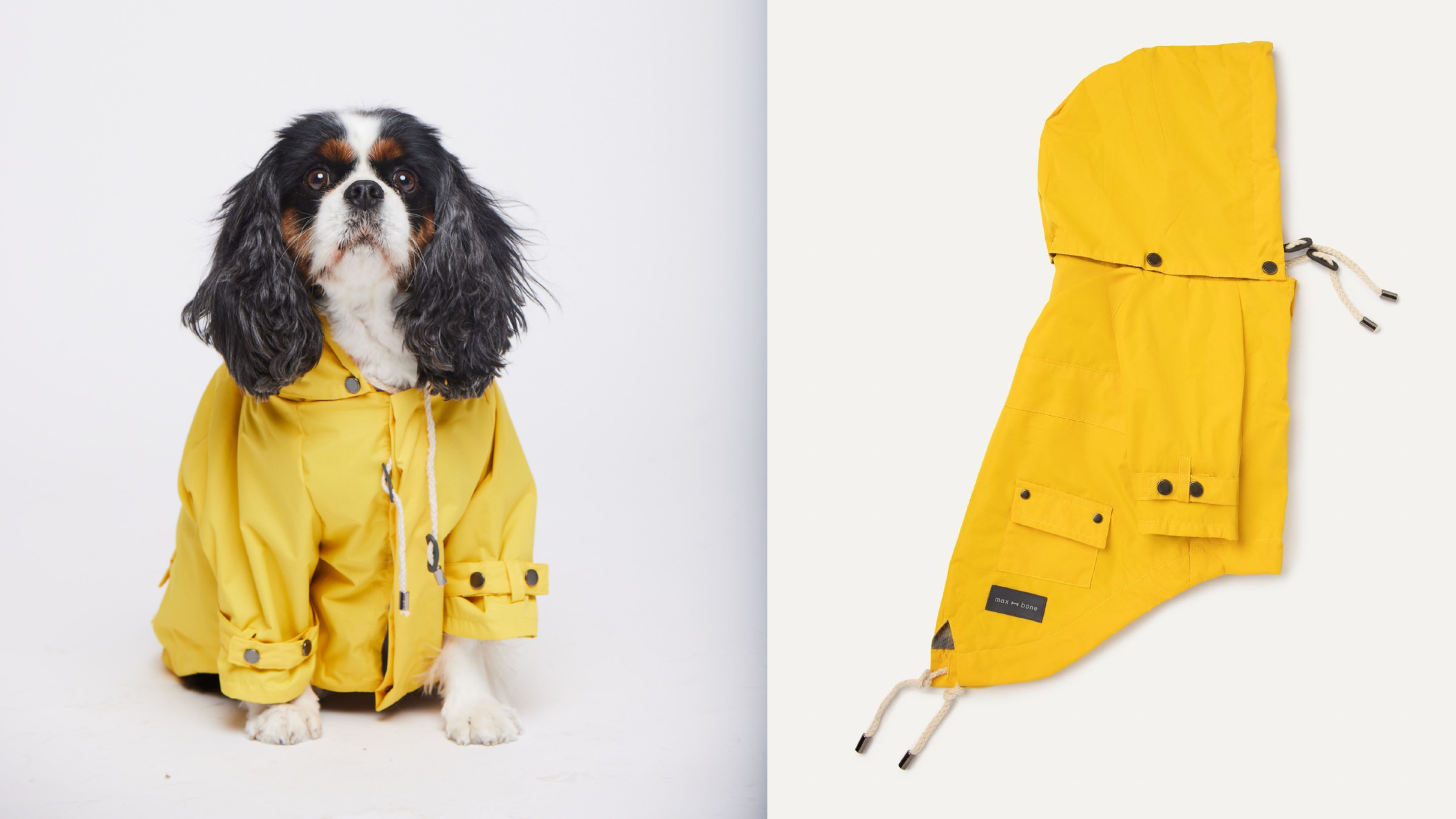 yellow raincoat for dogs
