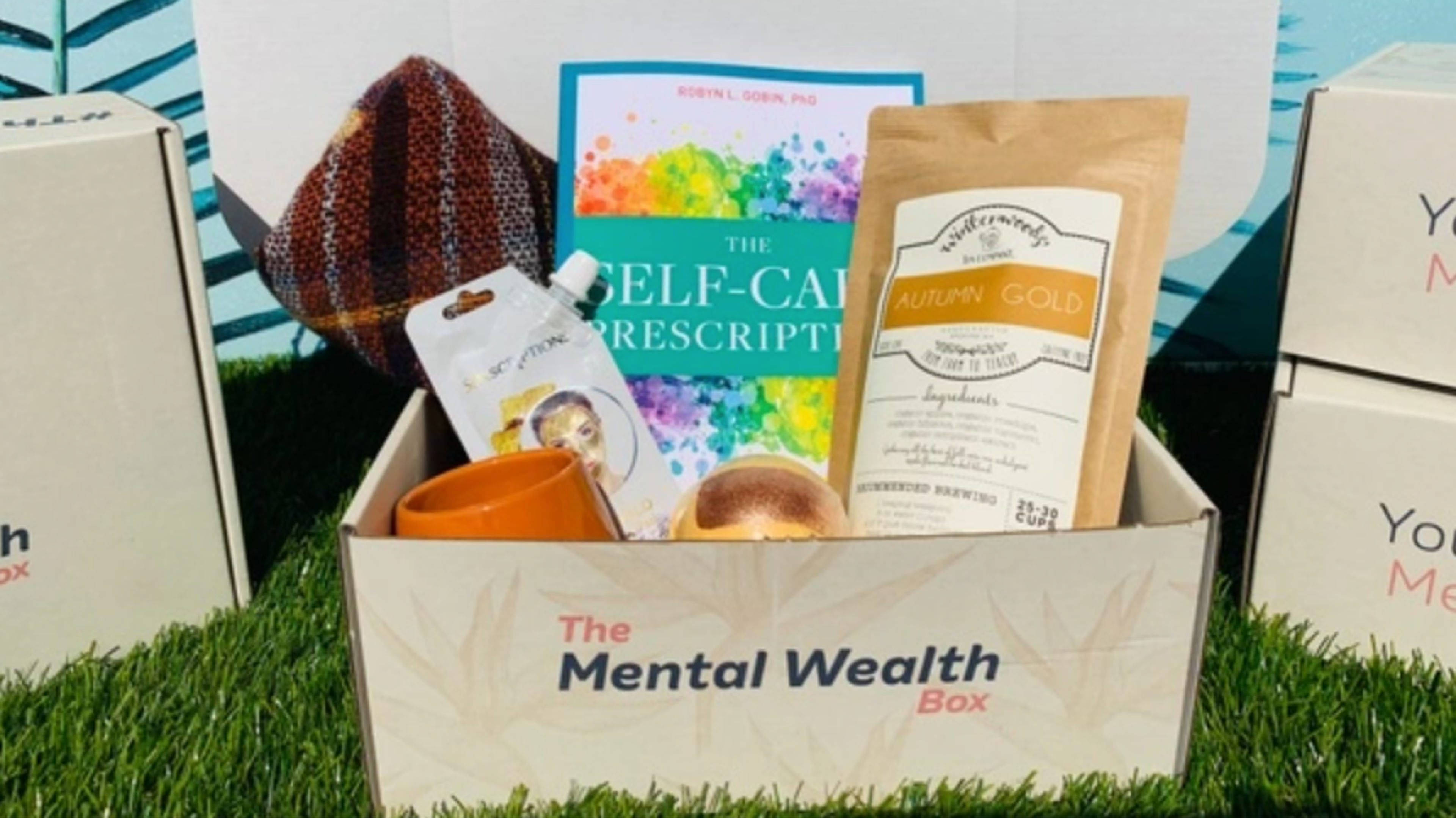 mental health subscription box to provide resources for those suffering from PTSD, anxiety, or depression