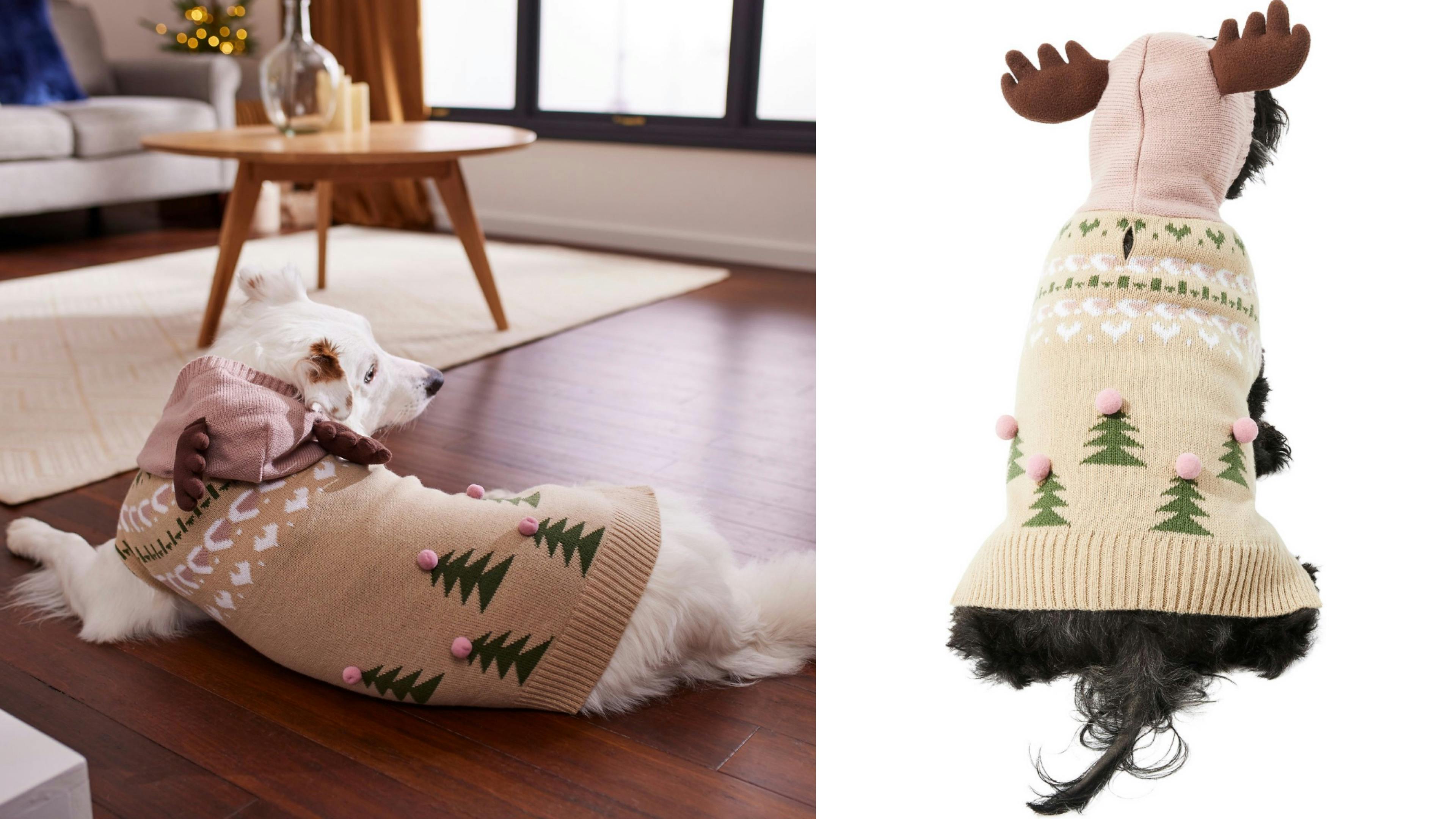 festive holiday pet sweater with reindeer antlers