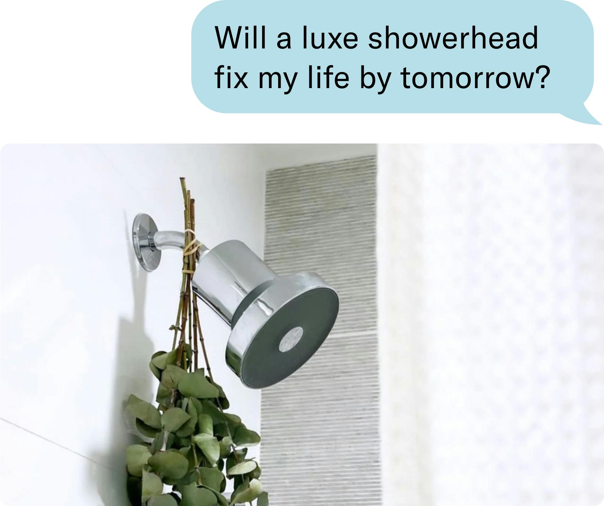 Will a luxe showerhead fix my life by tomorrow?