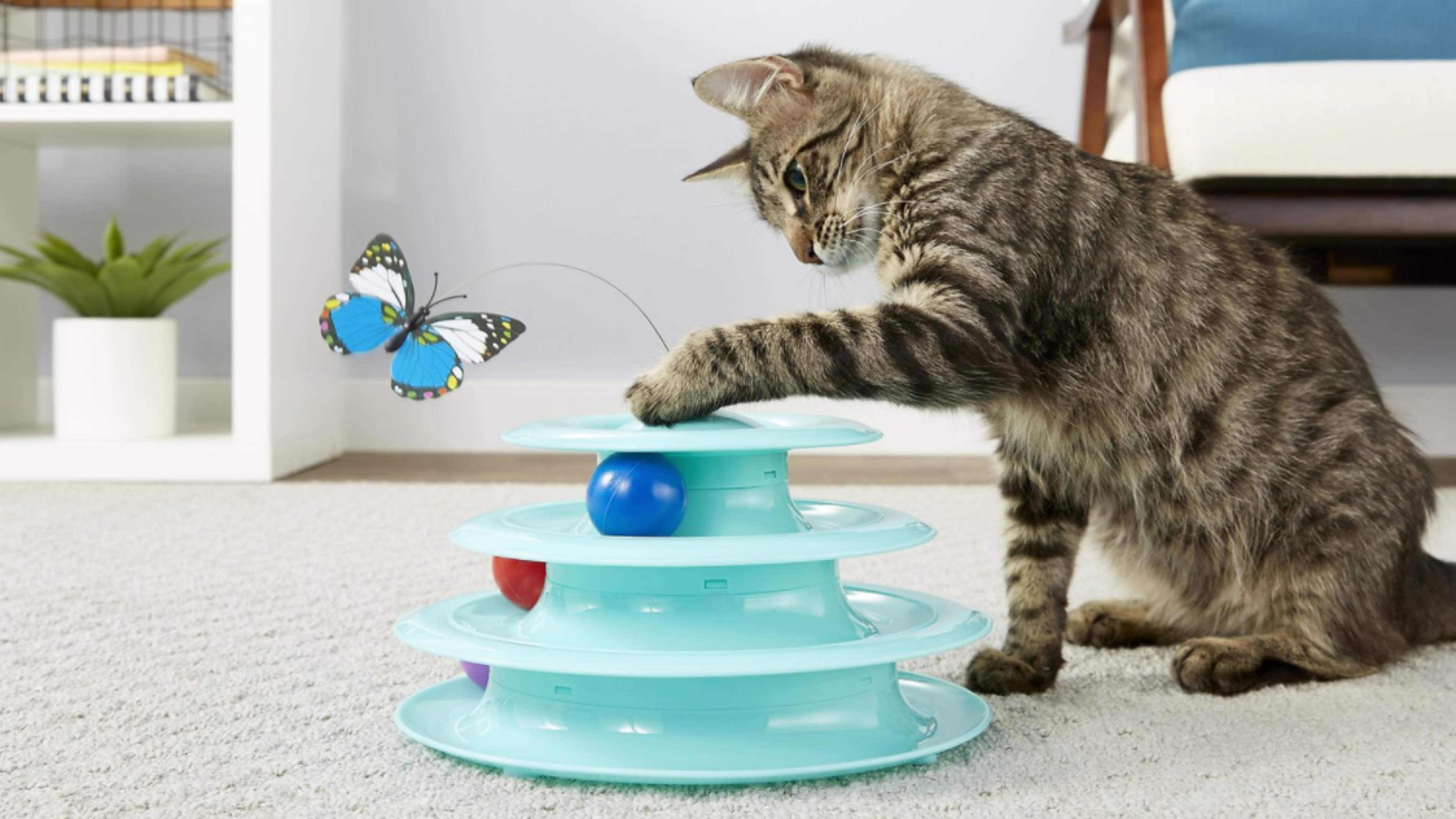 cat toy with rotating balls and butterflies they can swat at
