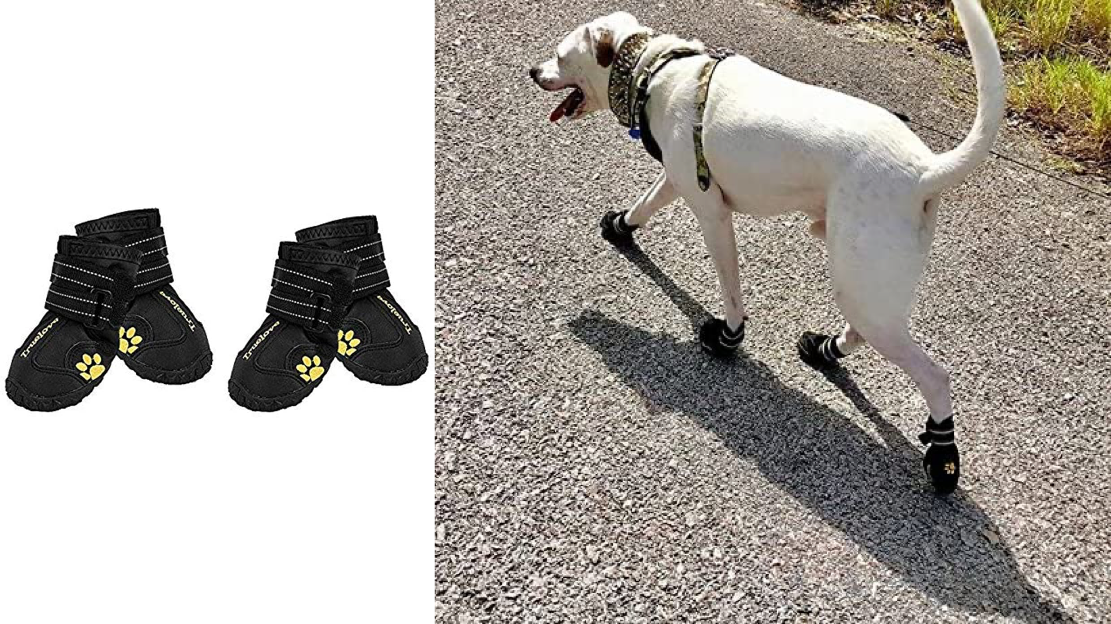 waterproof dog booties for snow, mud, and salt