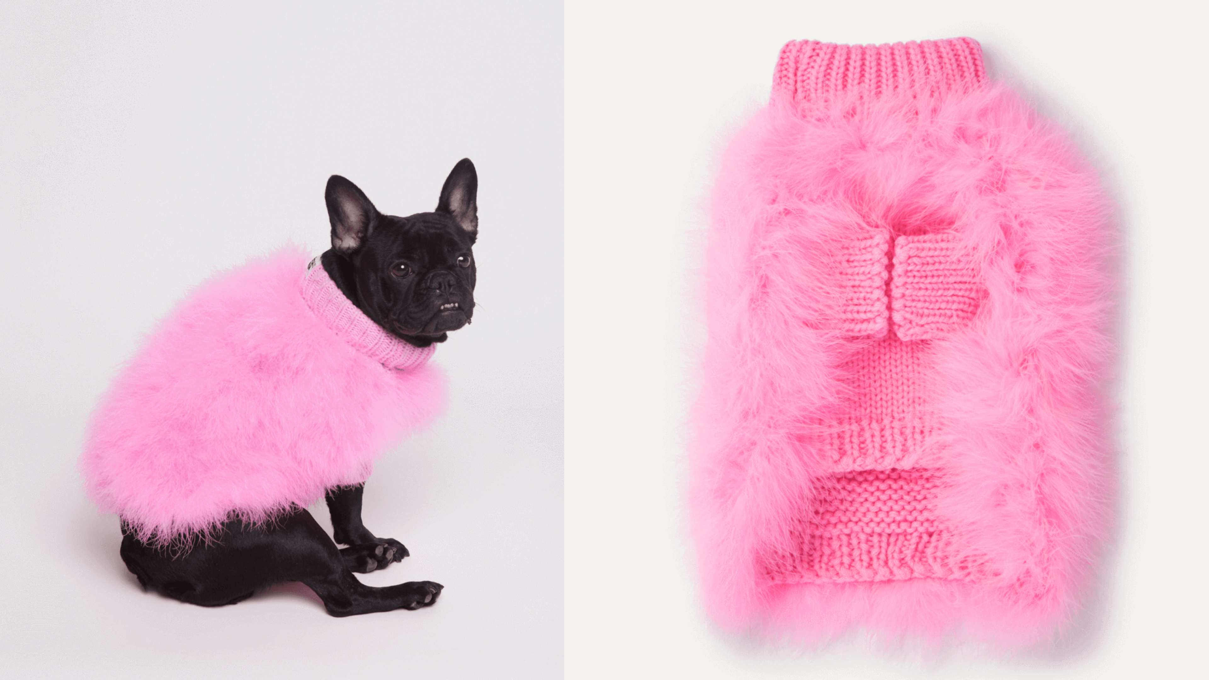 pink fluffy dog coat