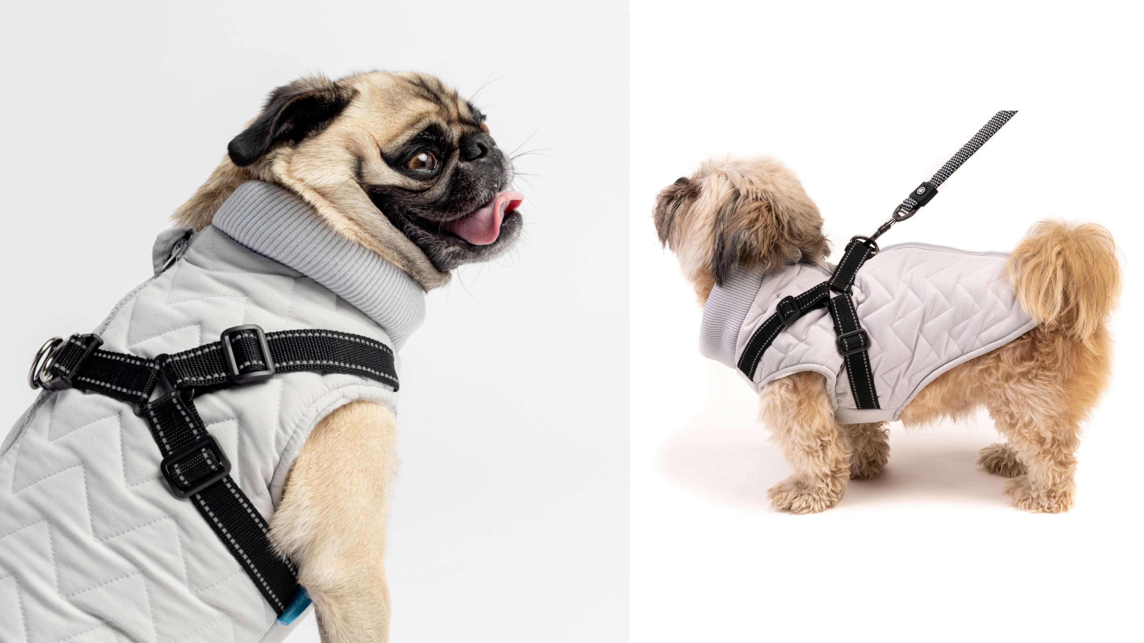 dog coat with built-in harness