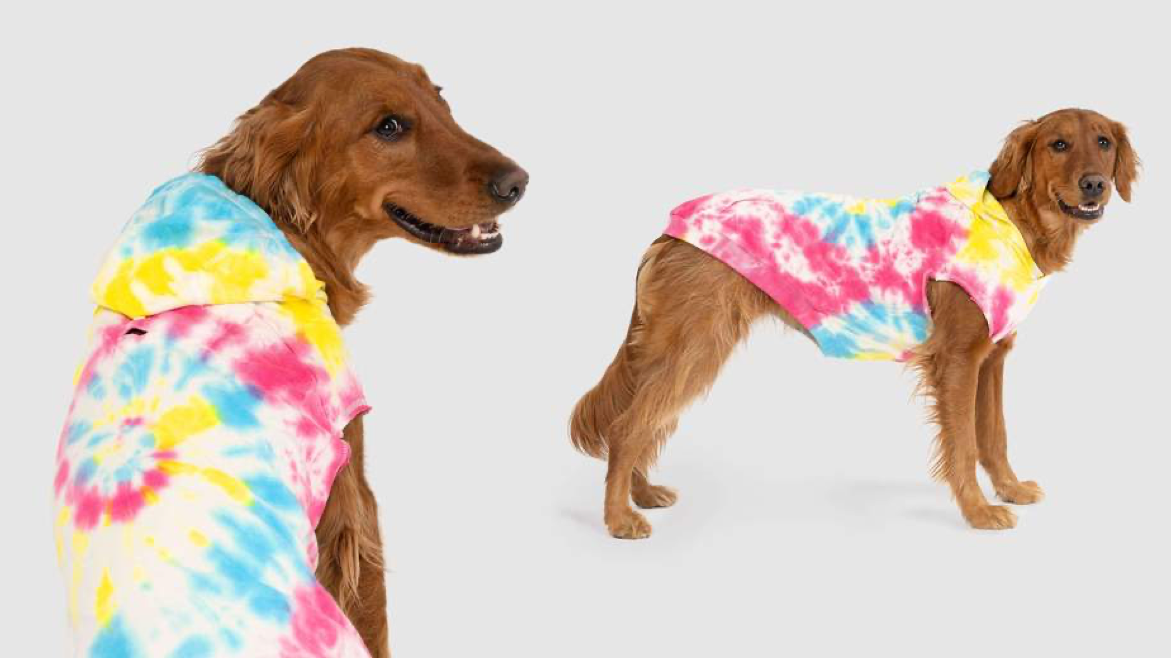 tie-dye hoodie sweatshirt for dogs