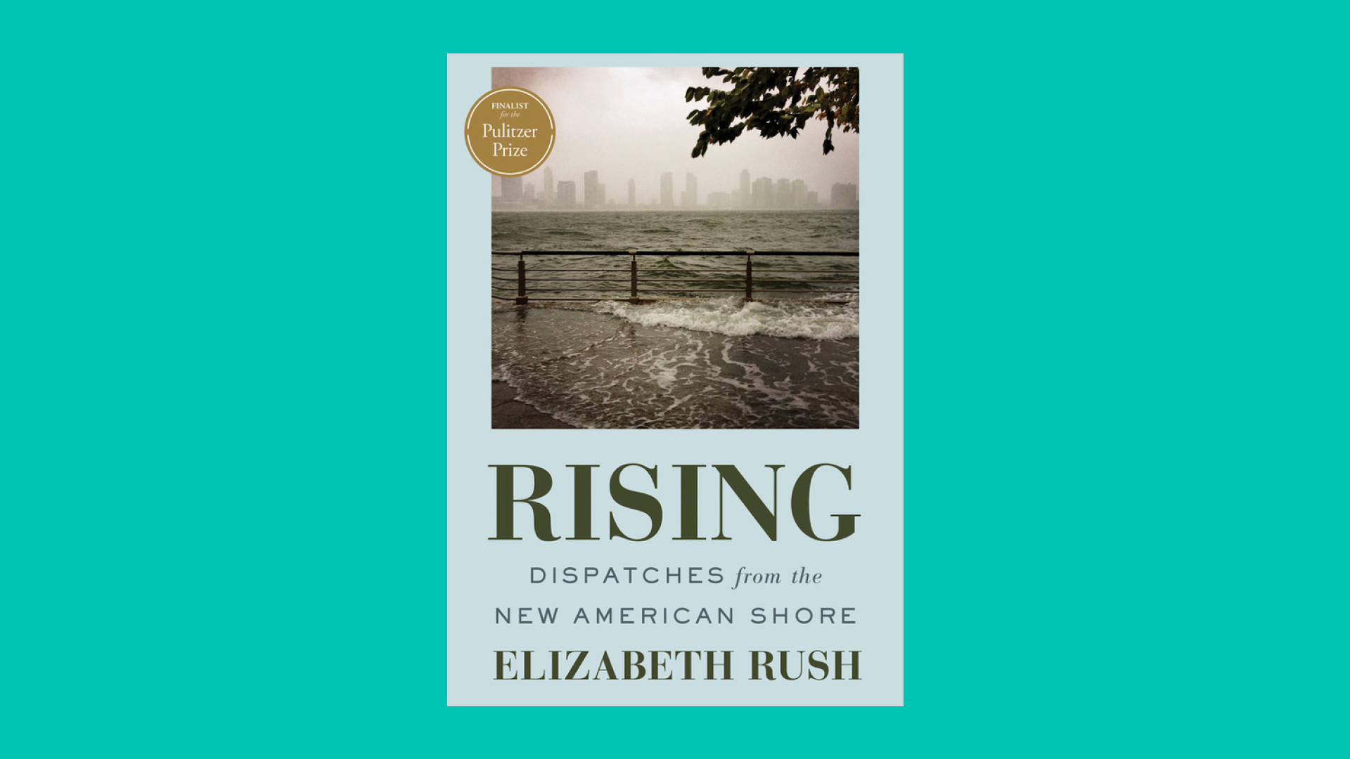 “Rising” by Elizabeth Rush