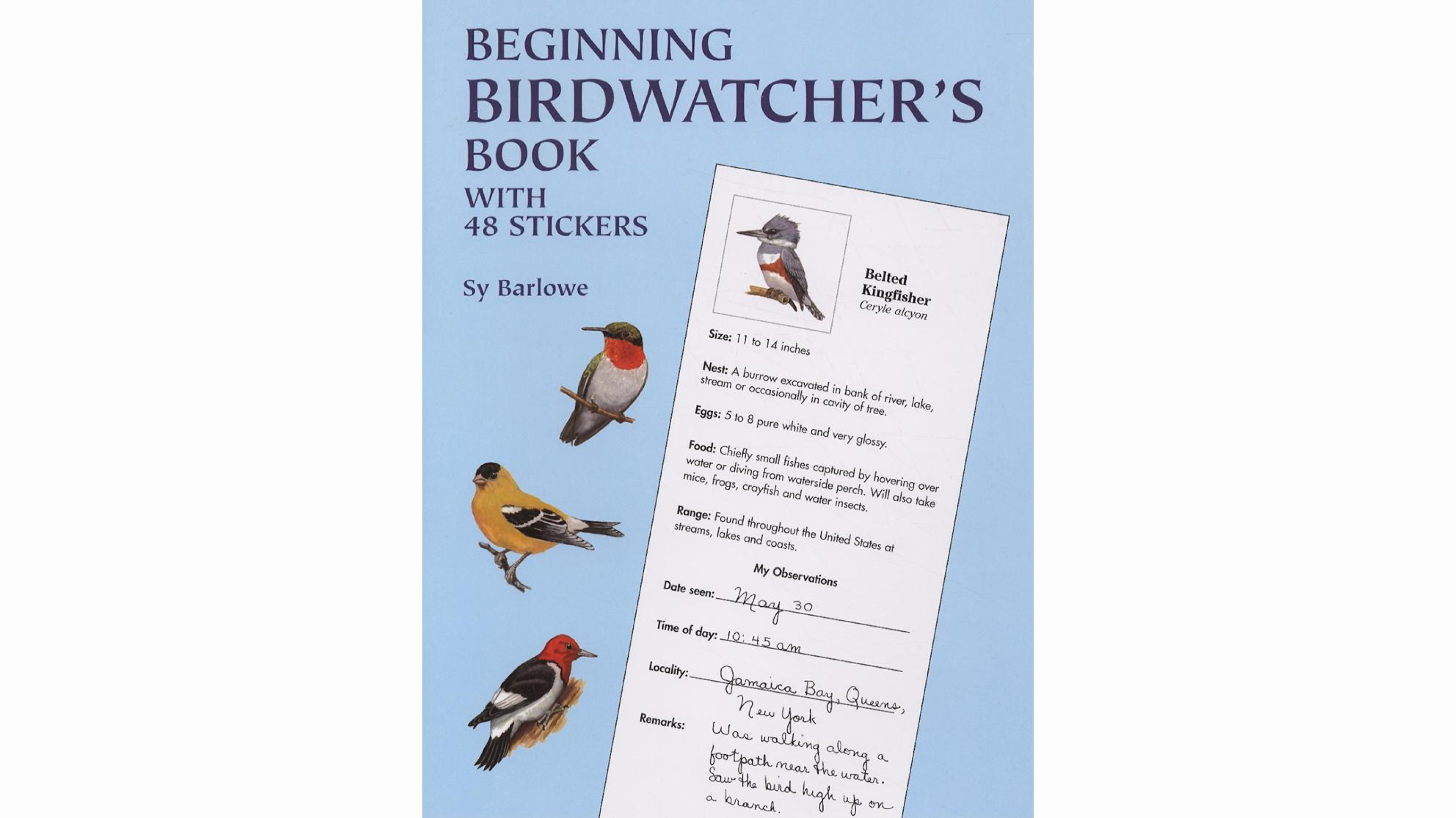 birdwatching book for beginners