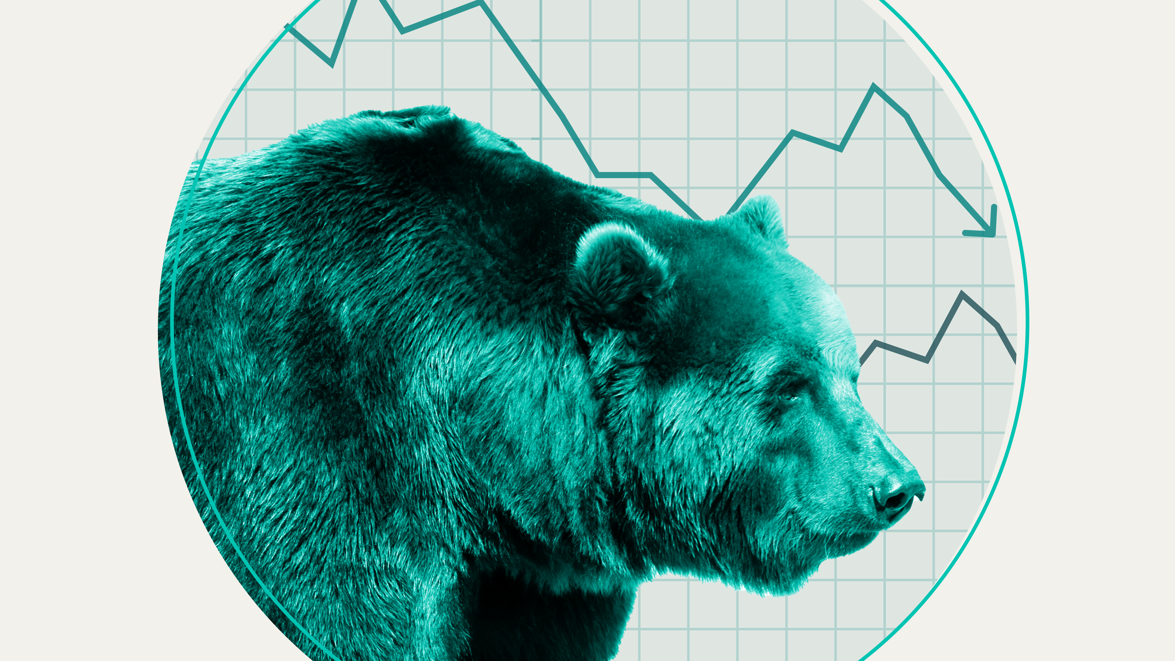 A bear in front of stock market graphs.
