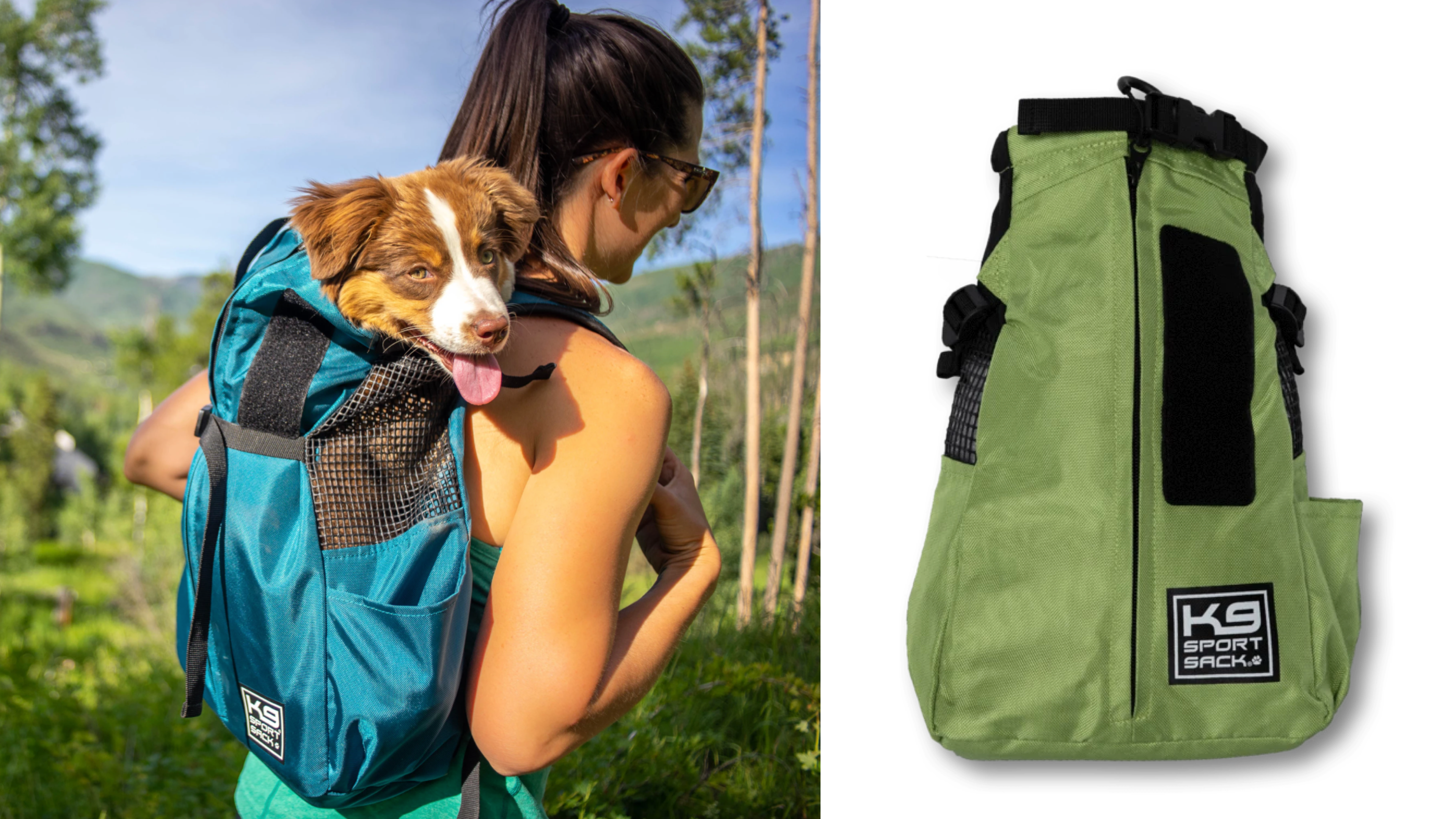 activity backpack for dogs, best for biking and hikes