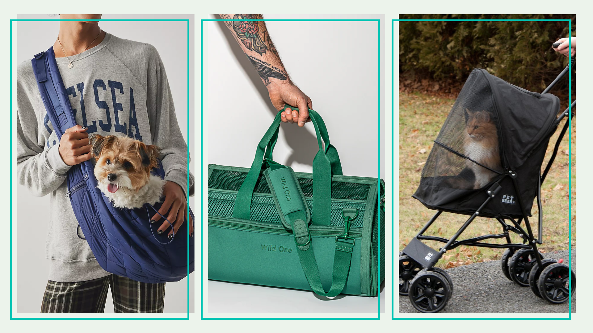Pet carriers and pet strollers 