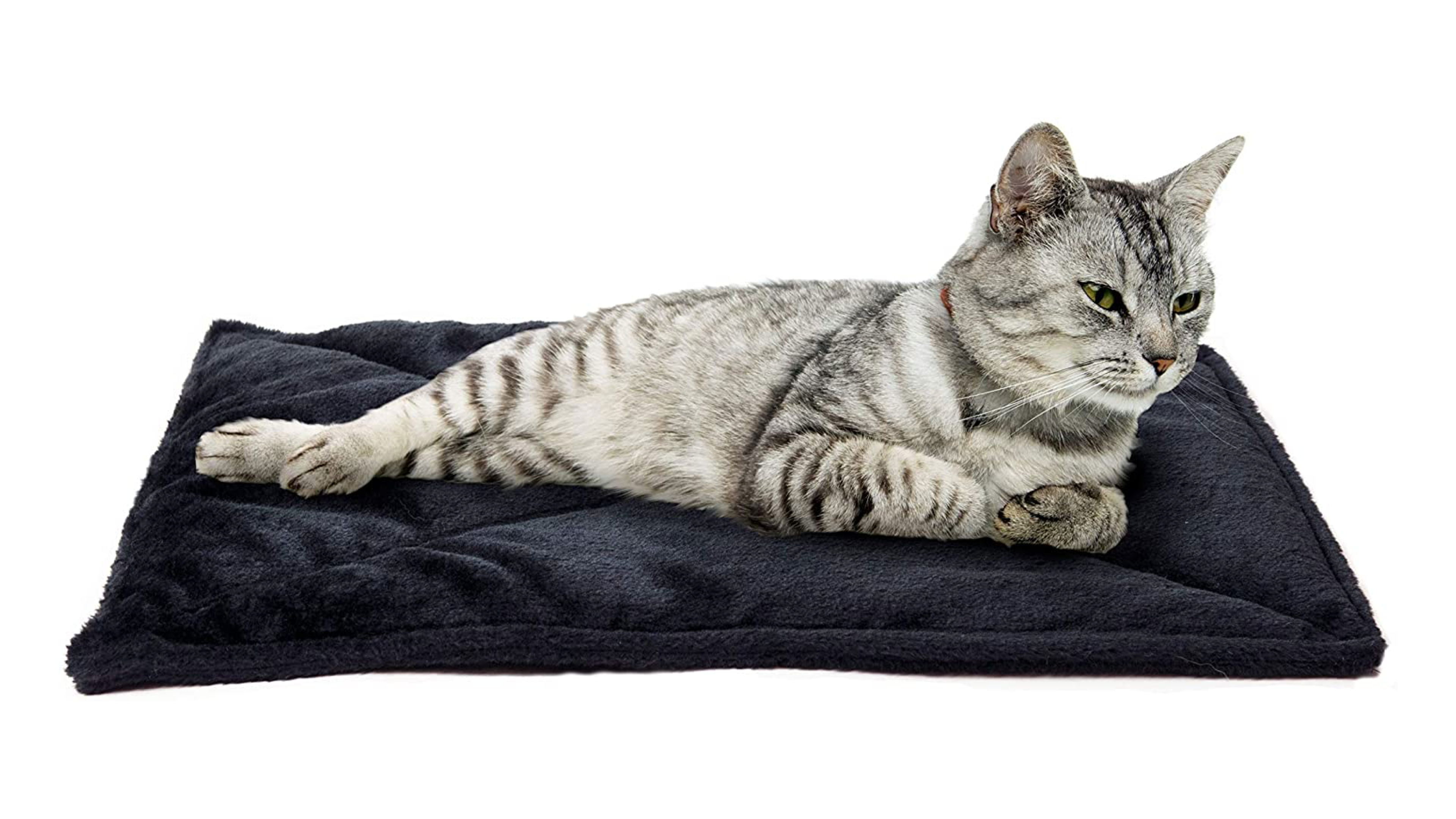 thermal cat bed that reflects their body heat back to keep them warm