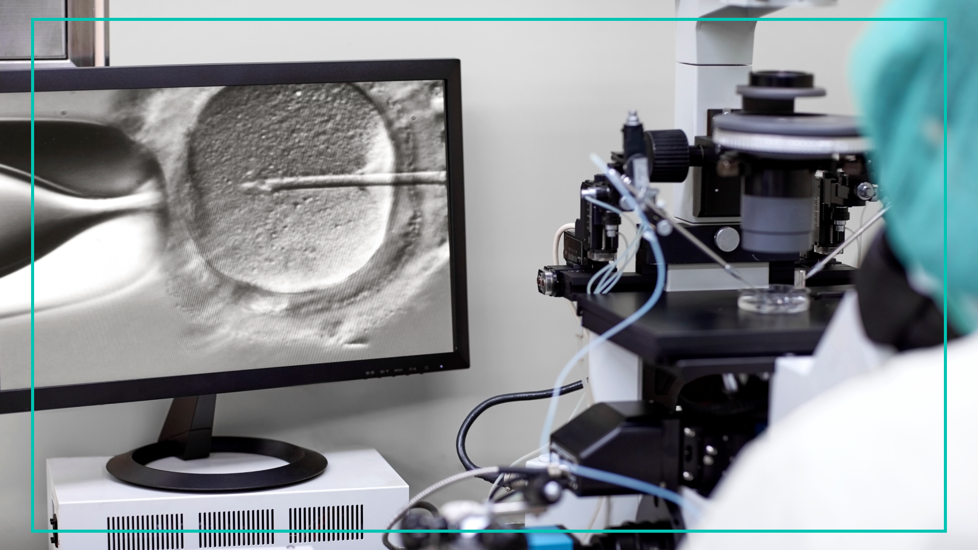 IVF treatment through a magnifying glass