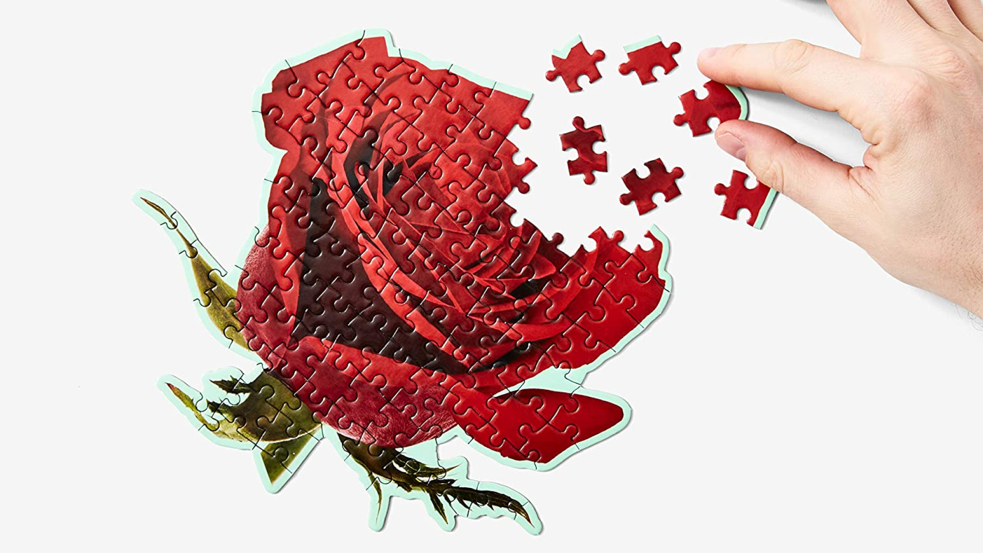 Tiny rose puzzle