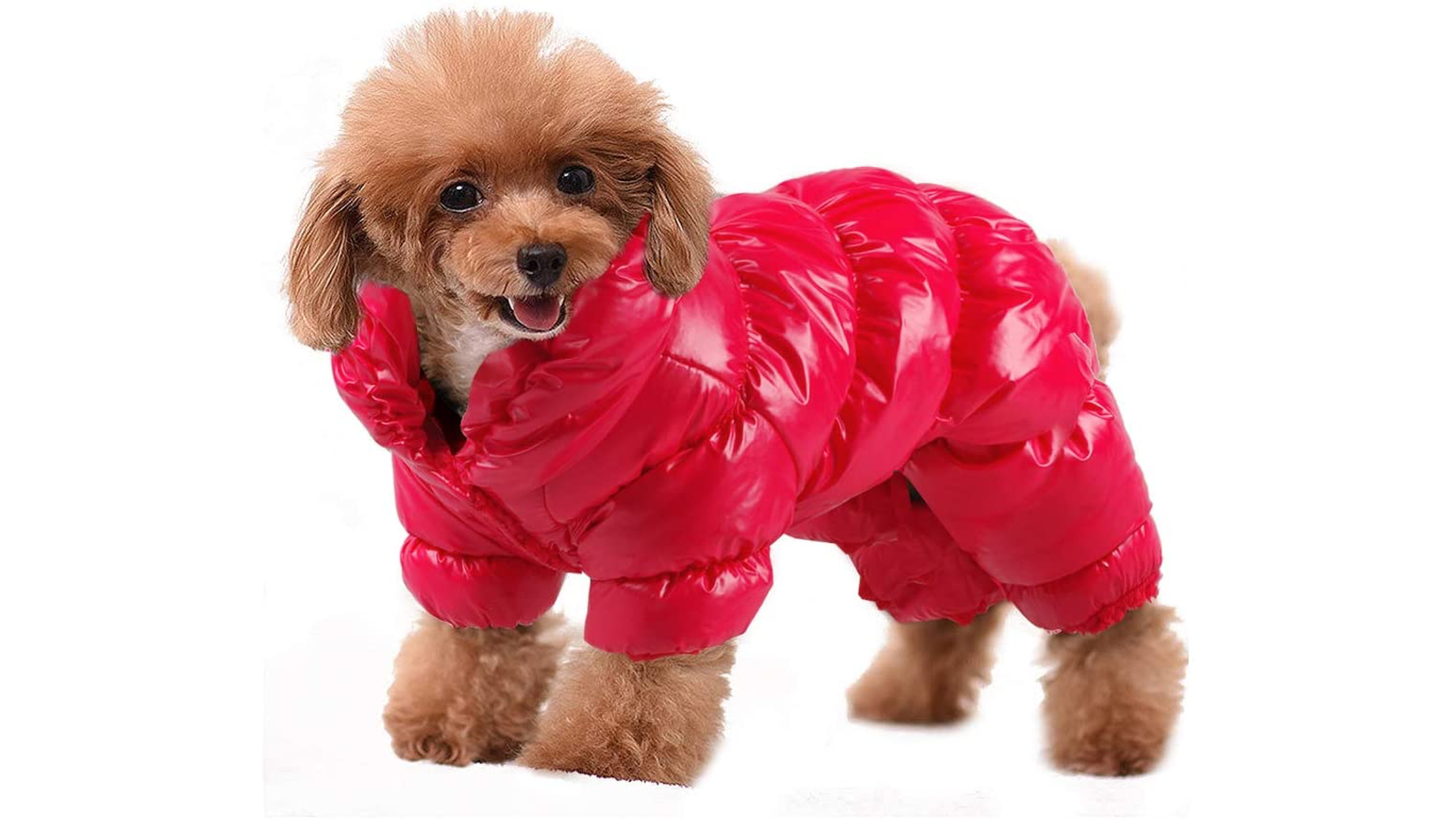 red puffer coat for small dogs