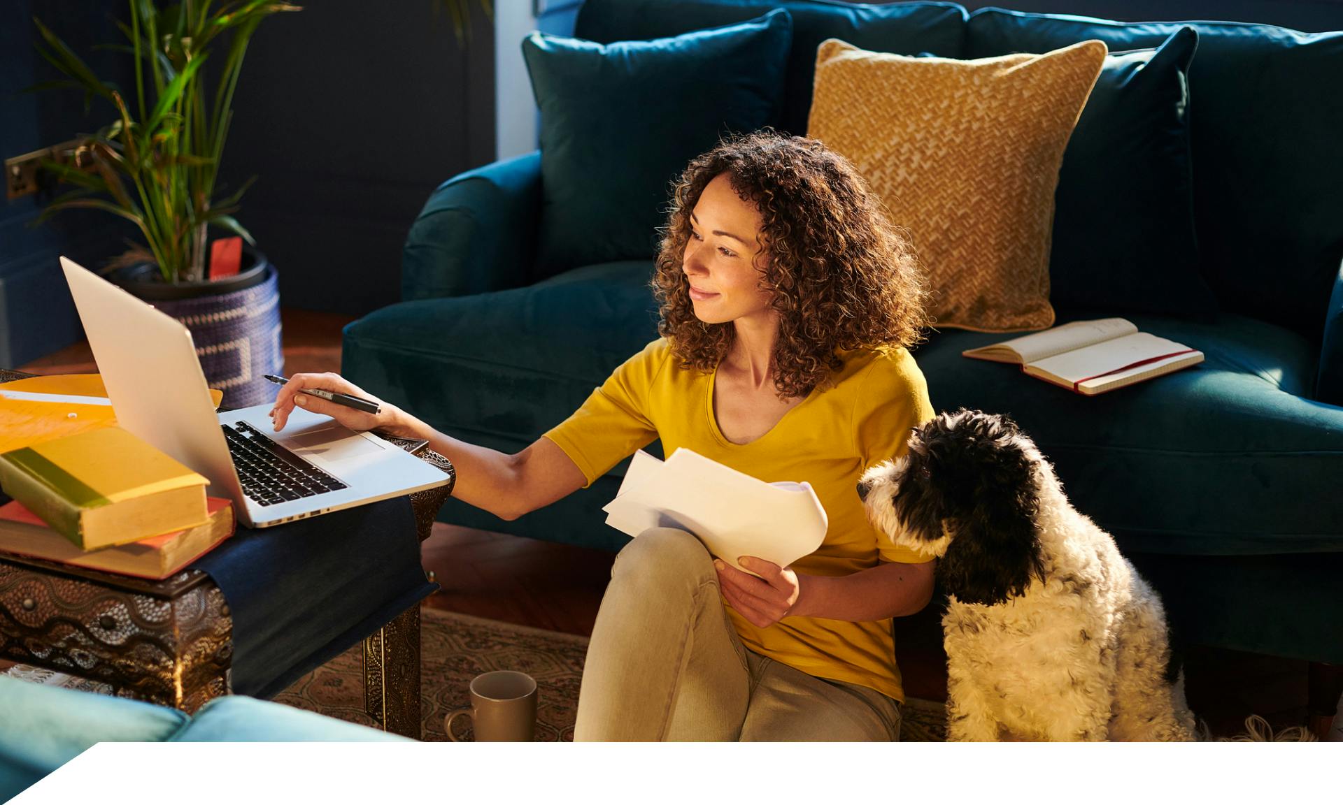 woman sitting with dog looking at laptop