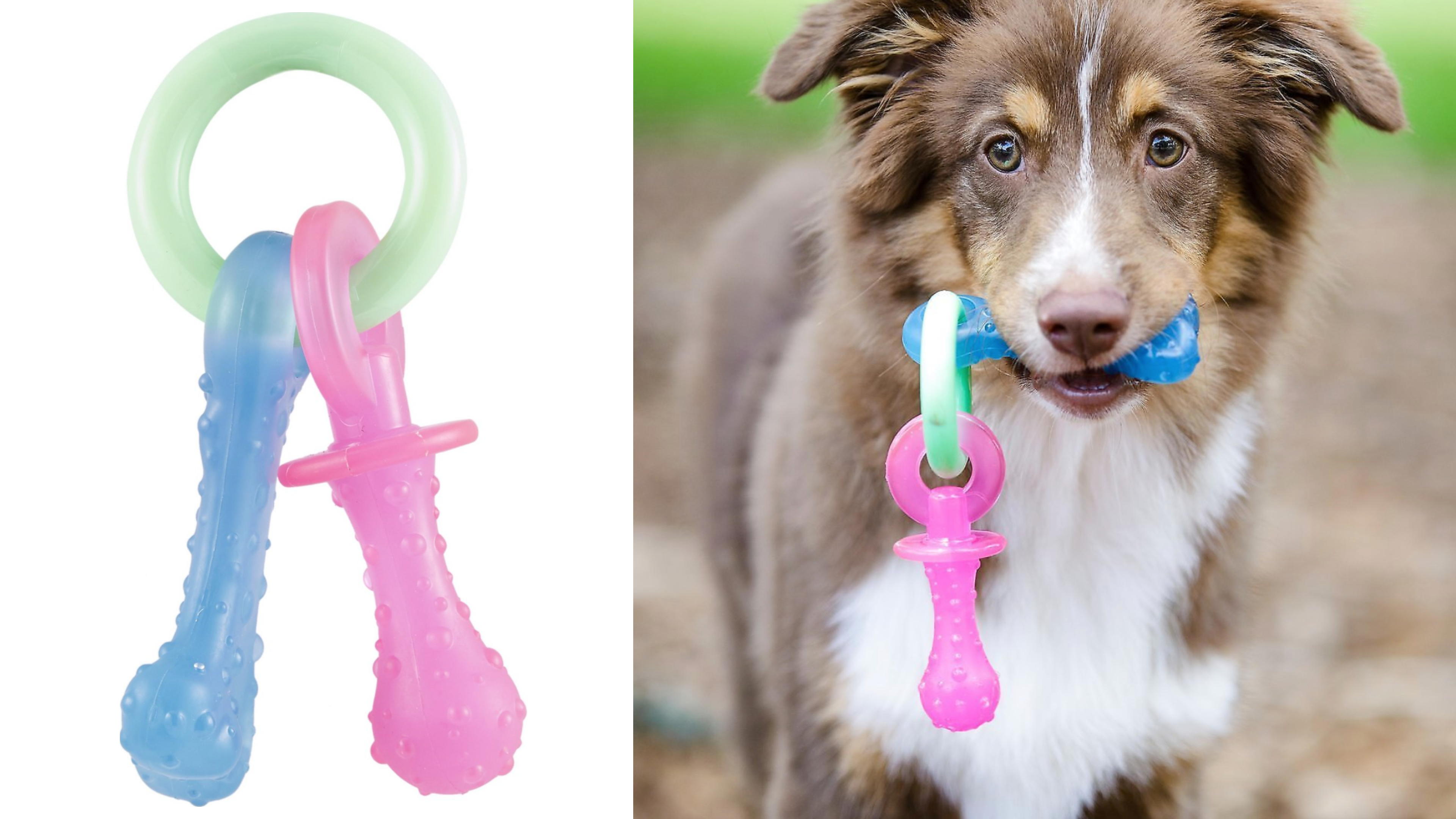 teething toy for puppies